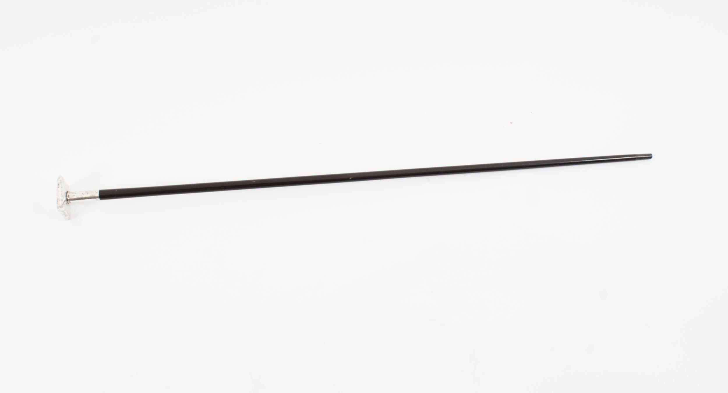 This is a beautiful antique walking stick with a continental silver cushion pommel and ebonized shaft,  Circa 1880 in date.

This decorative walking cane features an exquisite cast silver square cushion pommel. It has a sturdy ebonised