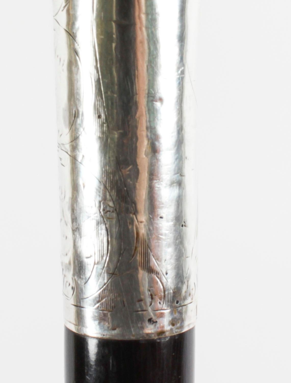 Antique Silver and Ebonized Walking Stick Cane Late 19th Century For Sale 2