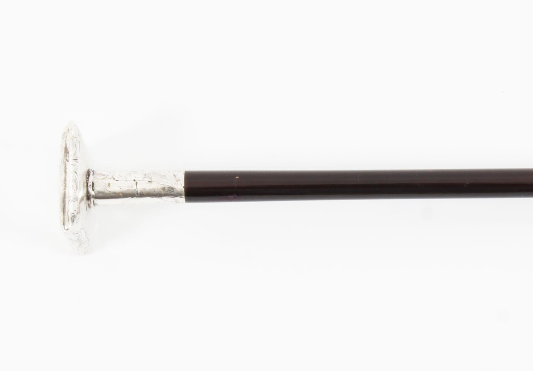 Antique Silver and Ebonized Walking Stick Cane Late 19th Century For Sale 4