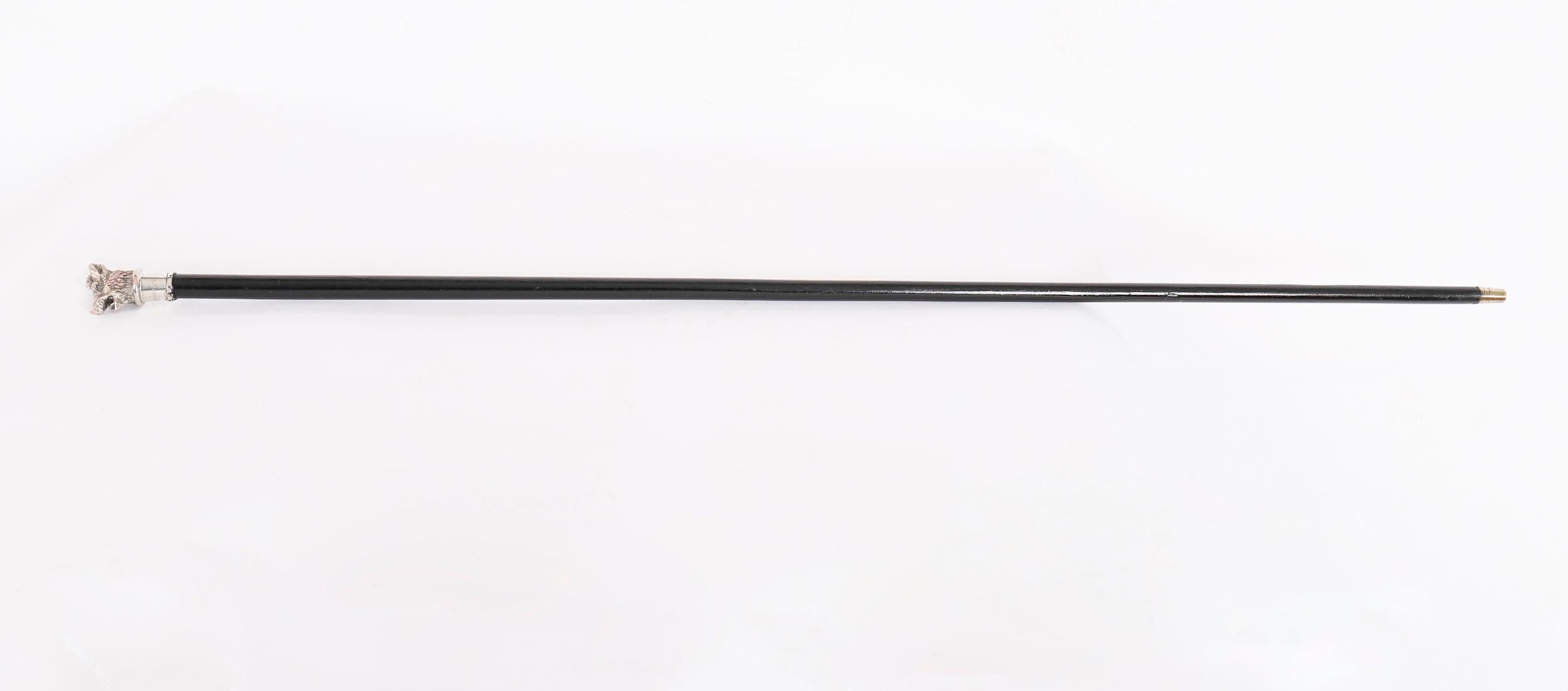 Si tratta di un bellissimo bastone da passeggio in argento tedesco con impugnatura a testa di cinghiale, datato 1889.
 
Il bastone è caratterizzato da un manico in argento con testa di cinghiale e decorazioni superbe e dettagliate, su un'asta in