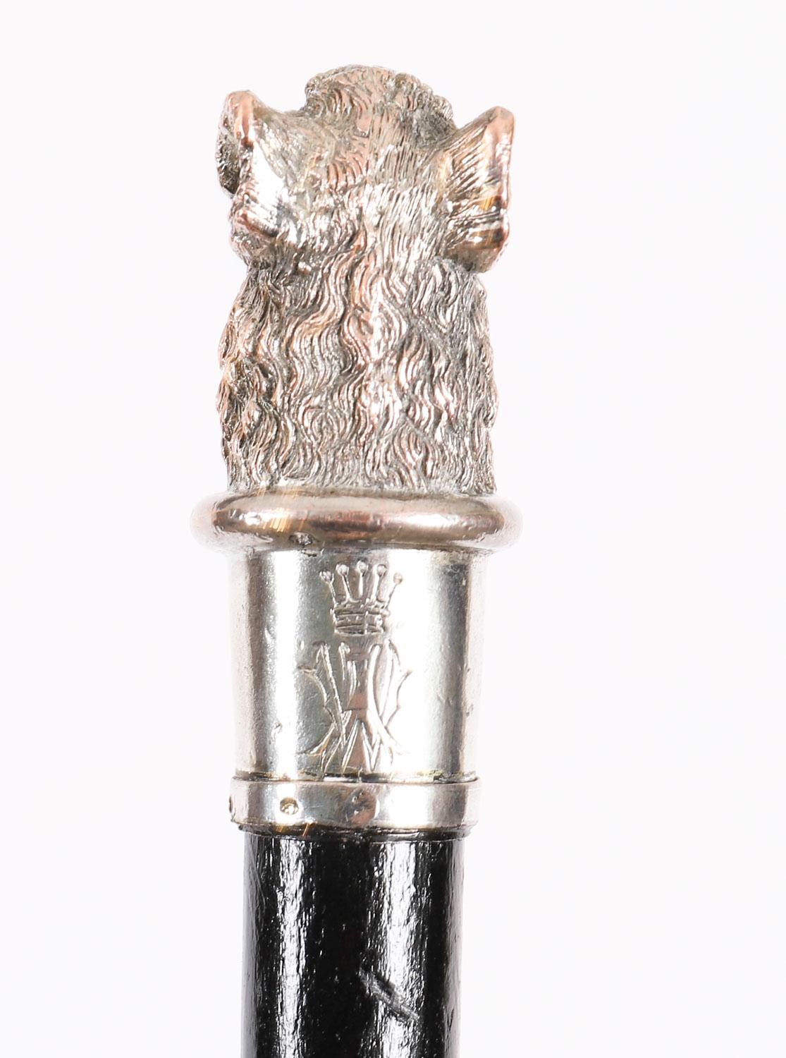 Antico bastone da passeggio in argento con testa di cinghiale Ducato di Lussemburgo XIX secolo In condizioni buone in vendita a London, GB