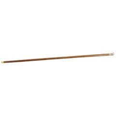 Antique Silver Crown Palmwood Walking Stick Cane, 19th Century