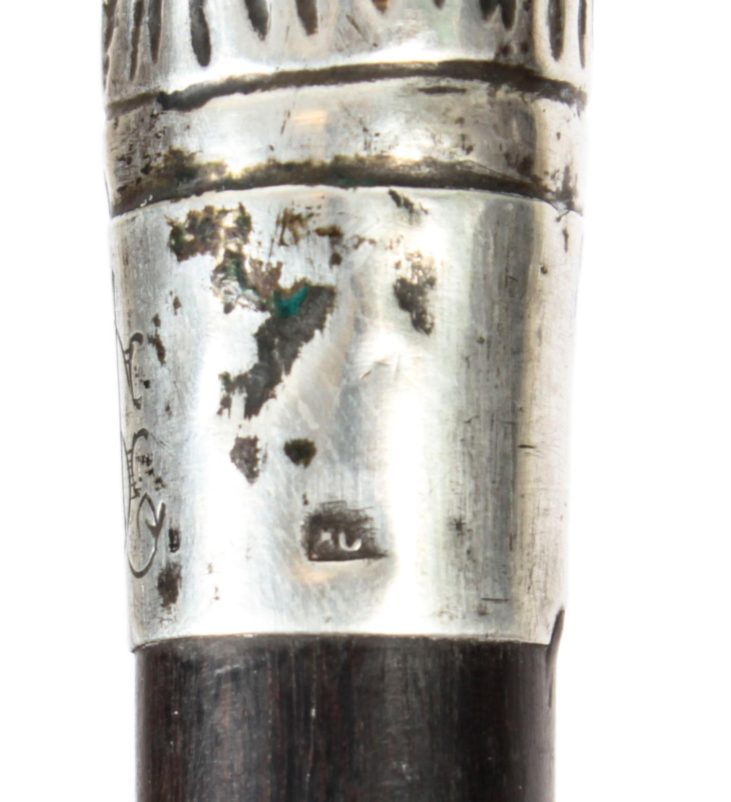 Antique Silver Ebonized Walking Cane Stick, 19th Century 4