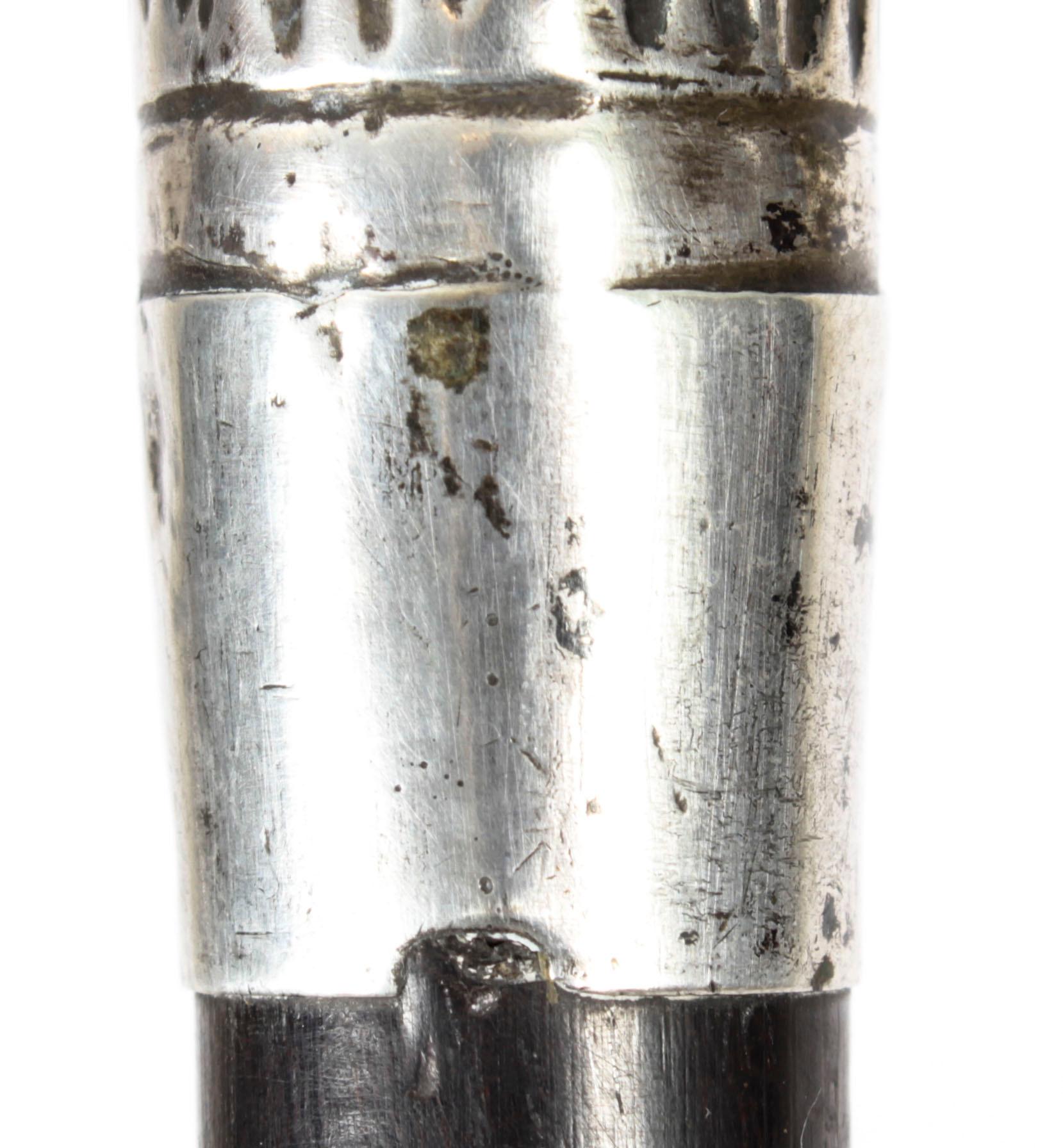 Antique Silver Ebonized Walking Cane Stick, 19th Century 6