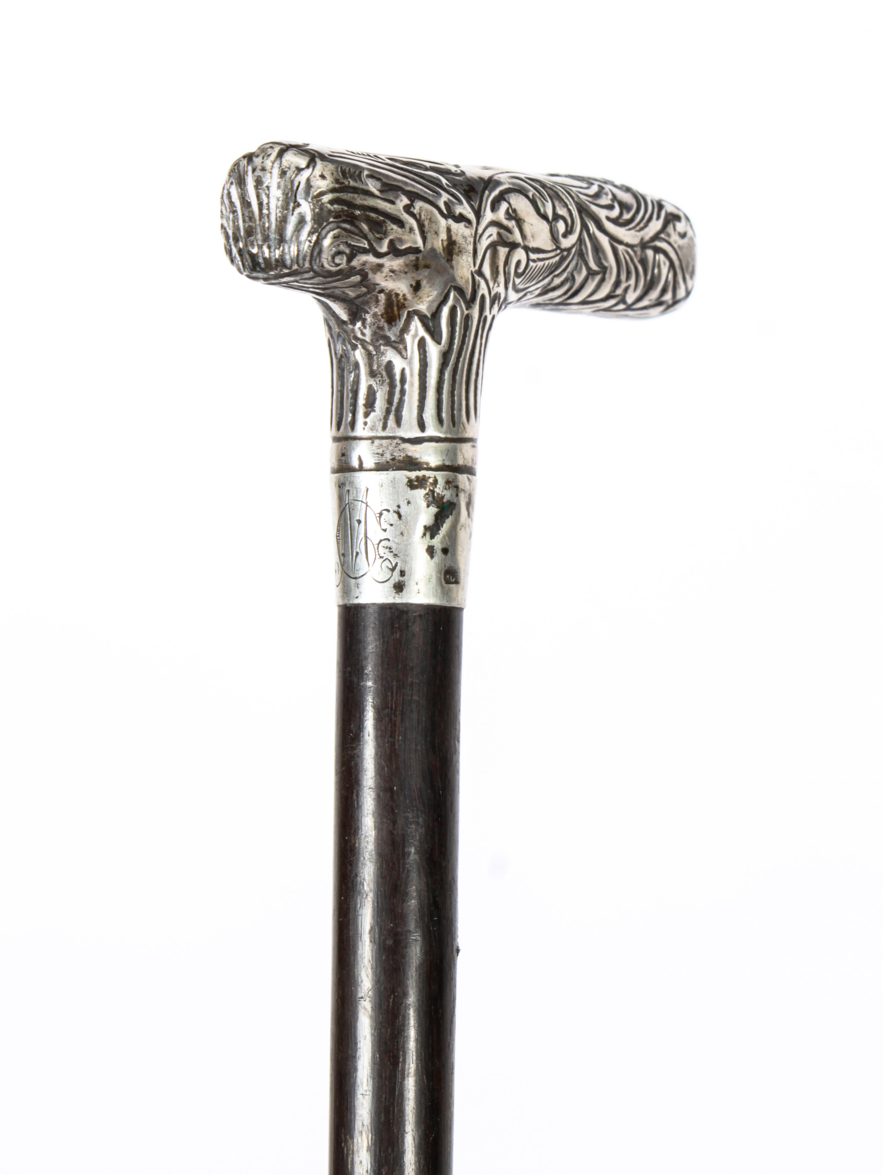 Art Nouveau Antique Silver Ebonized Walking Cane Stick, 19th Century