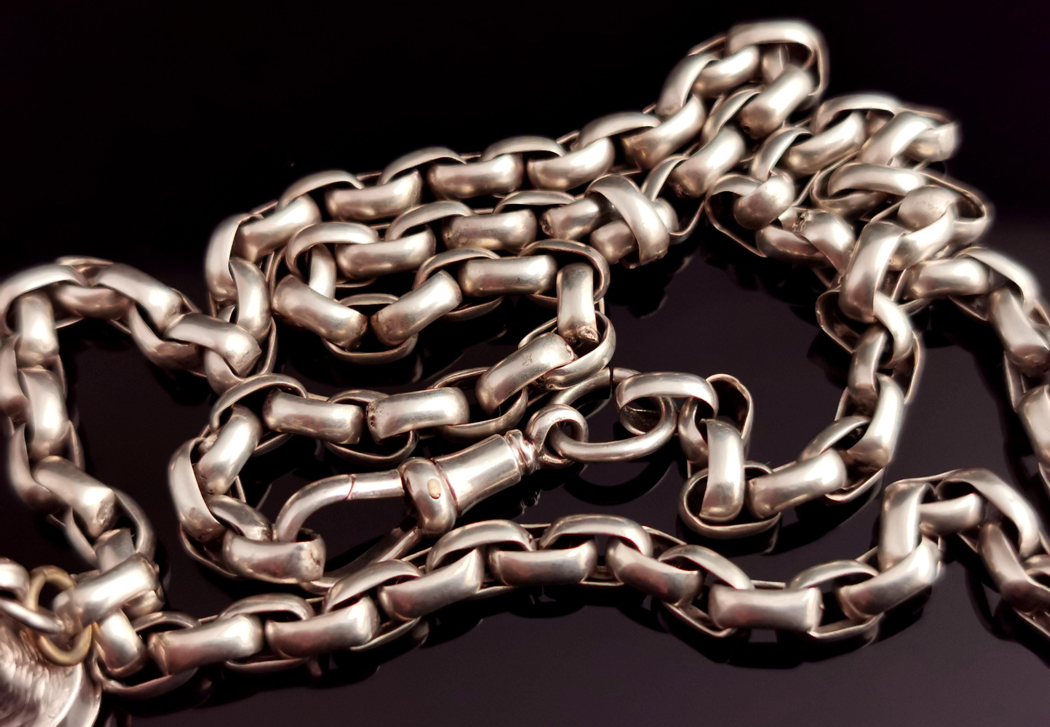 Antique Silver Horse Seal Fob Pendant, Rolo Link Long Chain Necklace, Bloodstone 5