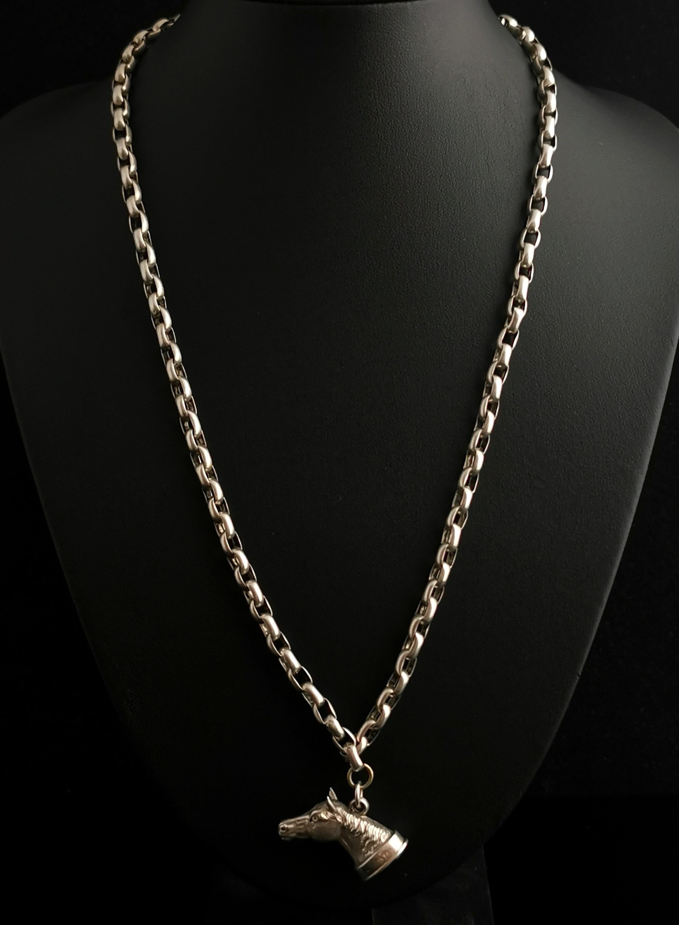 Women's or Men's Antique Silver Horse Seal Fob Pendant, Rolo Link Long Chain Necklace, Bloodstone