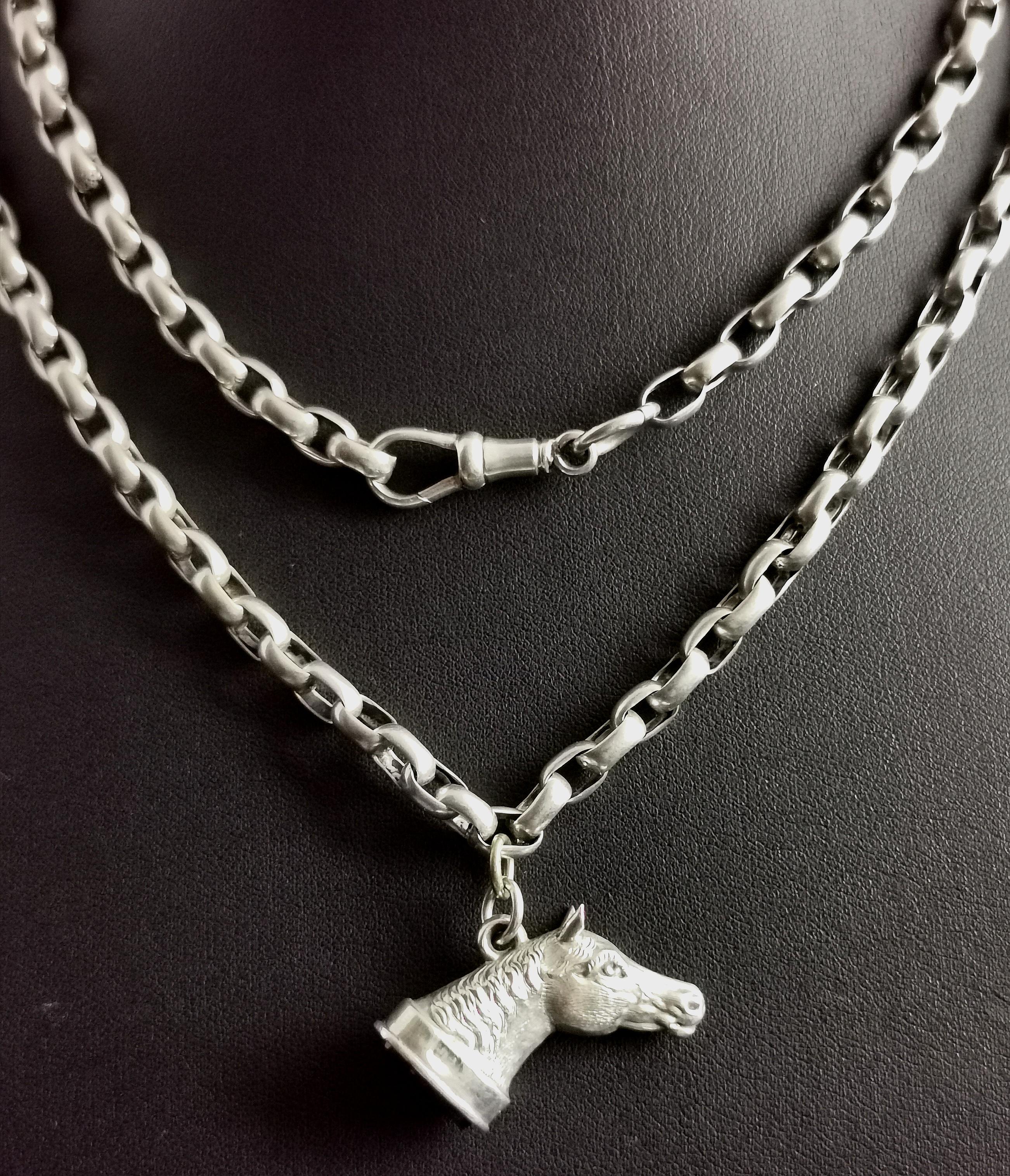 Antique Silver Horse Seal Fob Pendant, Rolo Link Long Chain Necklace, Bloodstone 3