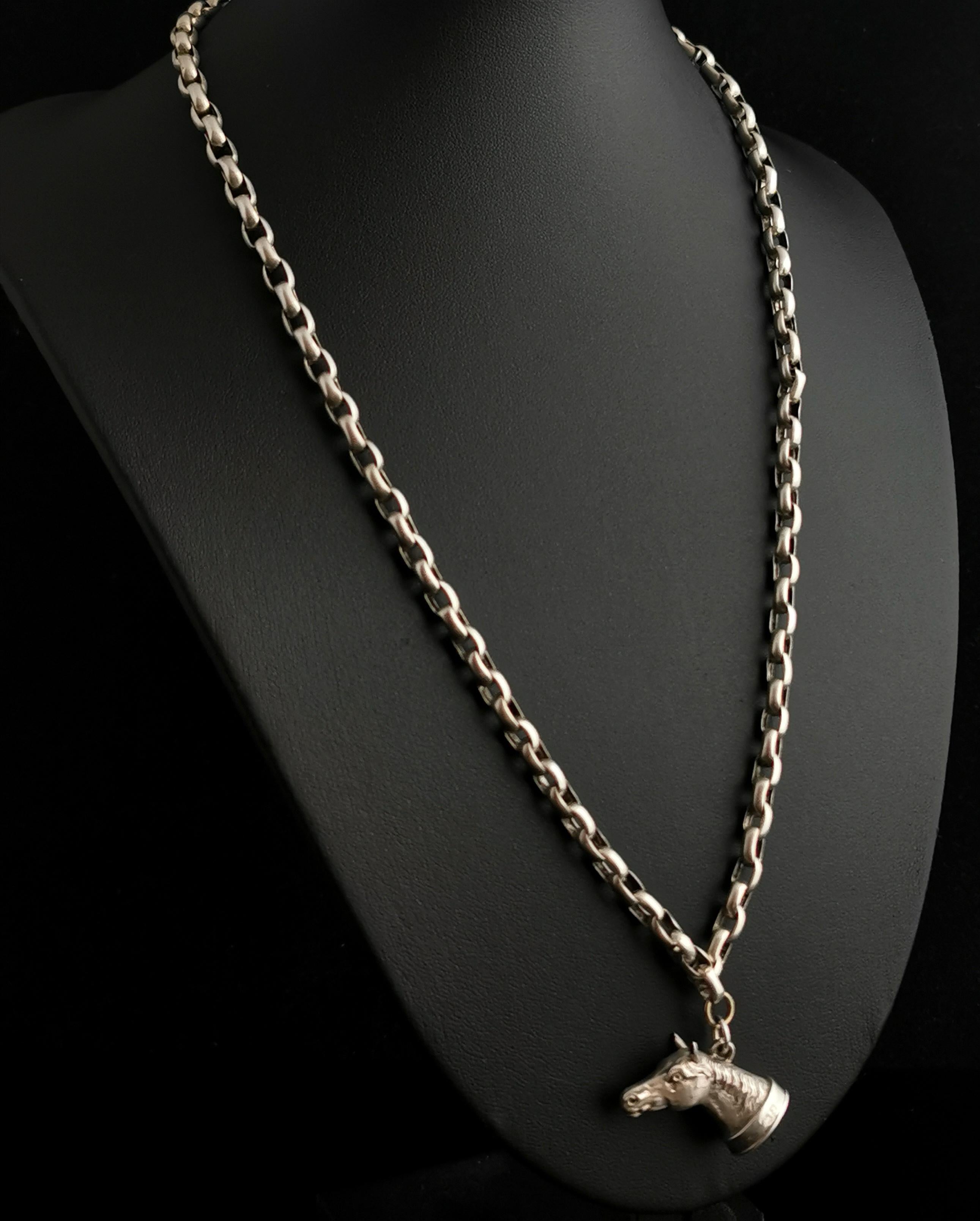Antique Silver Horse Seal Fob Pendant, Rolo Link Long Chain Necklace, Bloodstone 4