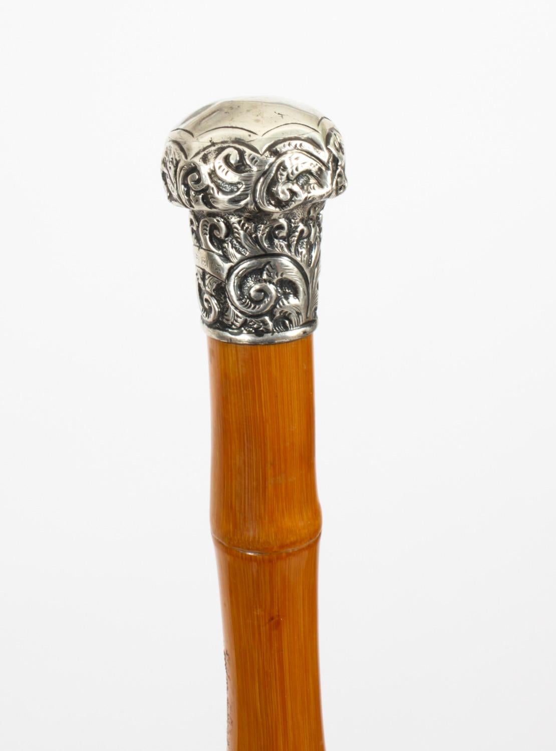 This is a beautiful antique gentleman's silver pommel and bambo shaft walking stick, circa 1880 in date.
 
This decorative walking cane features an exquisite silver pommel decorated with exquisitely cast foliate and floral ornamentation.
 
It