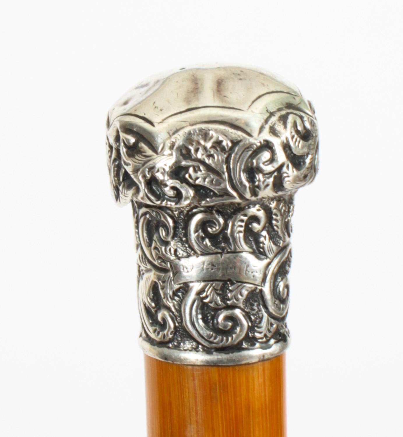 Late 19th Century Antique Silver & Malacca Walking Stick Cane, 19th Century