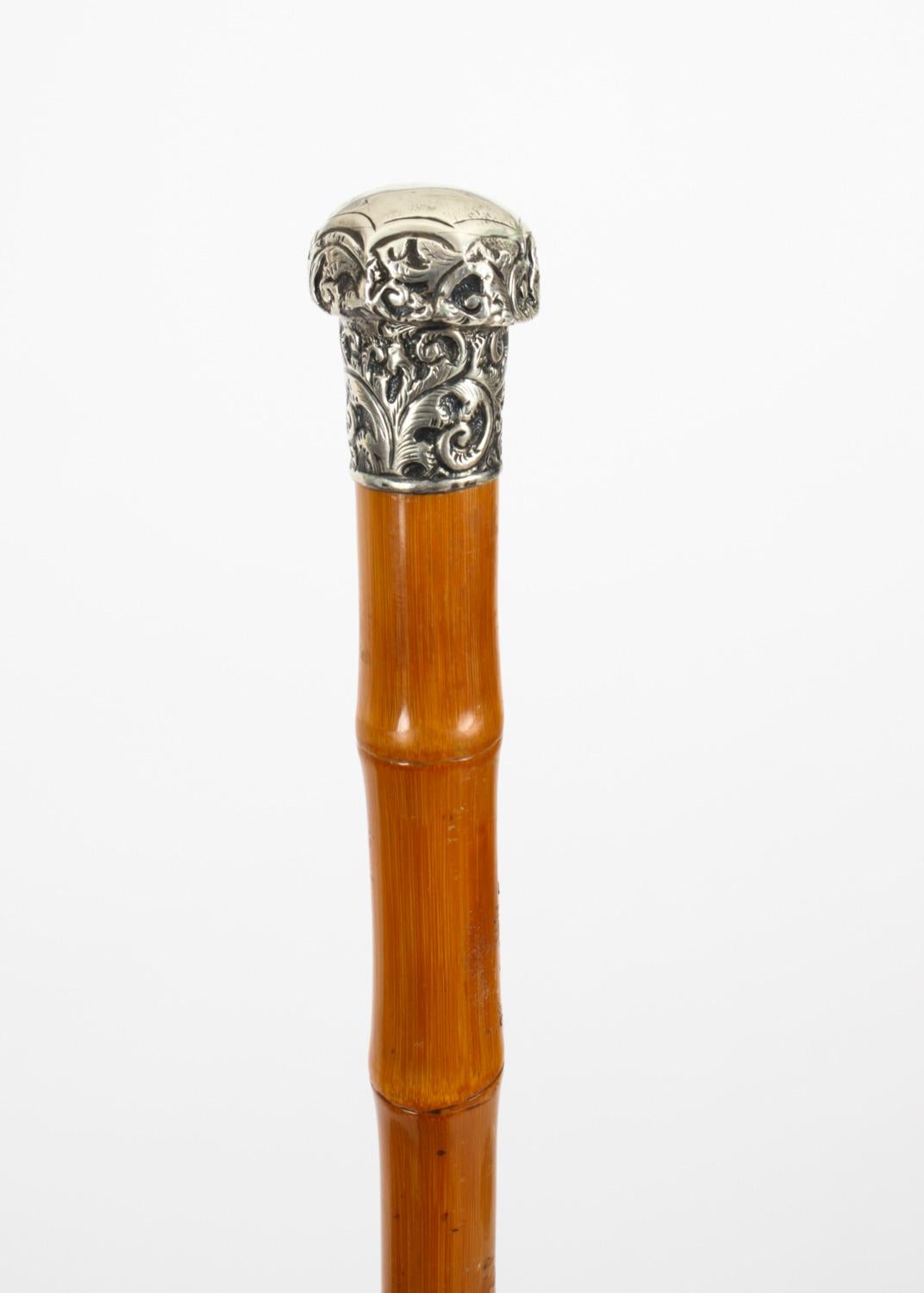 Antique Silver & Malacca Walking Stick Cane, 19th Century 1