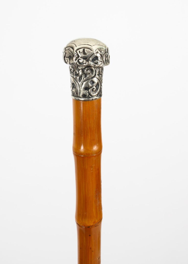 Antique Silver and Malacca Walking Stick Cane, 19th Century For Sale at 1stDibs