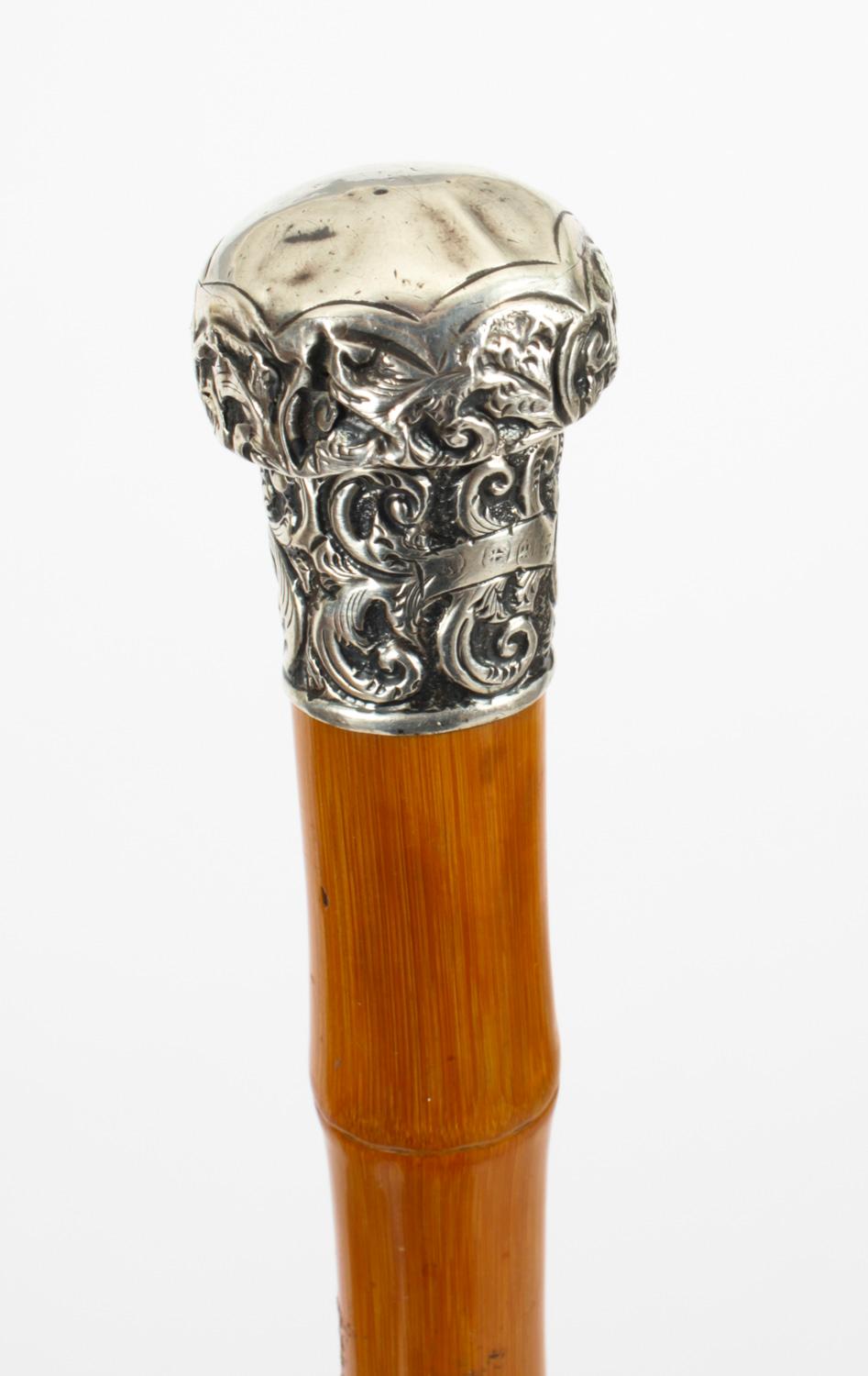 Antique Silver & Malacca Walking Stick Cane, 19th Century 2
