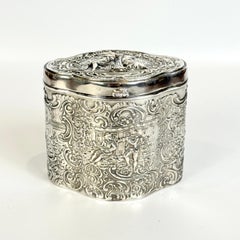 Antique Silver Plate Box or Tea Caddy with Decorative Panels