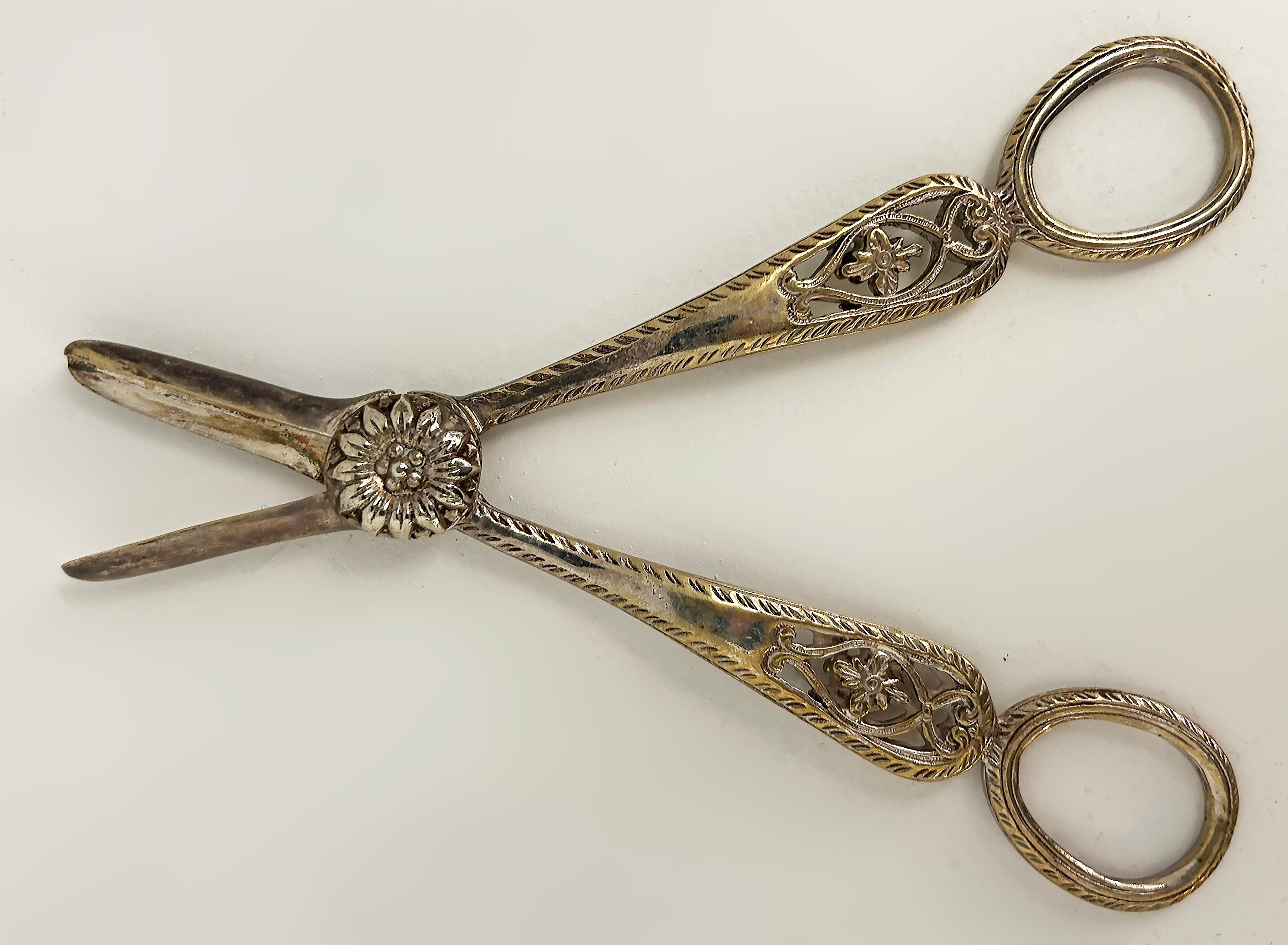 Antique Silver Plate Grape Scissors, Floral and Filigree Details

Offered for sale is a pair of antique silver-plated grape scissors with ornate floral and filigree decorations and details. The scissors have a lovely aged patina.