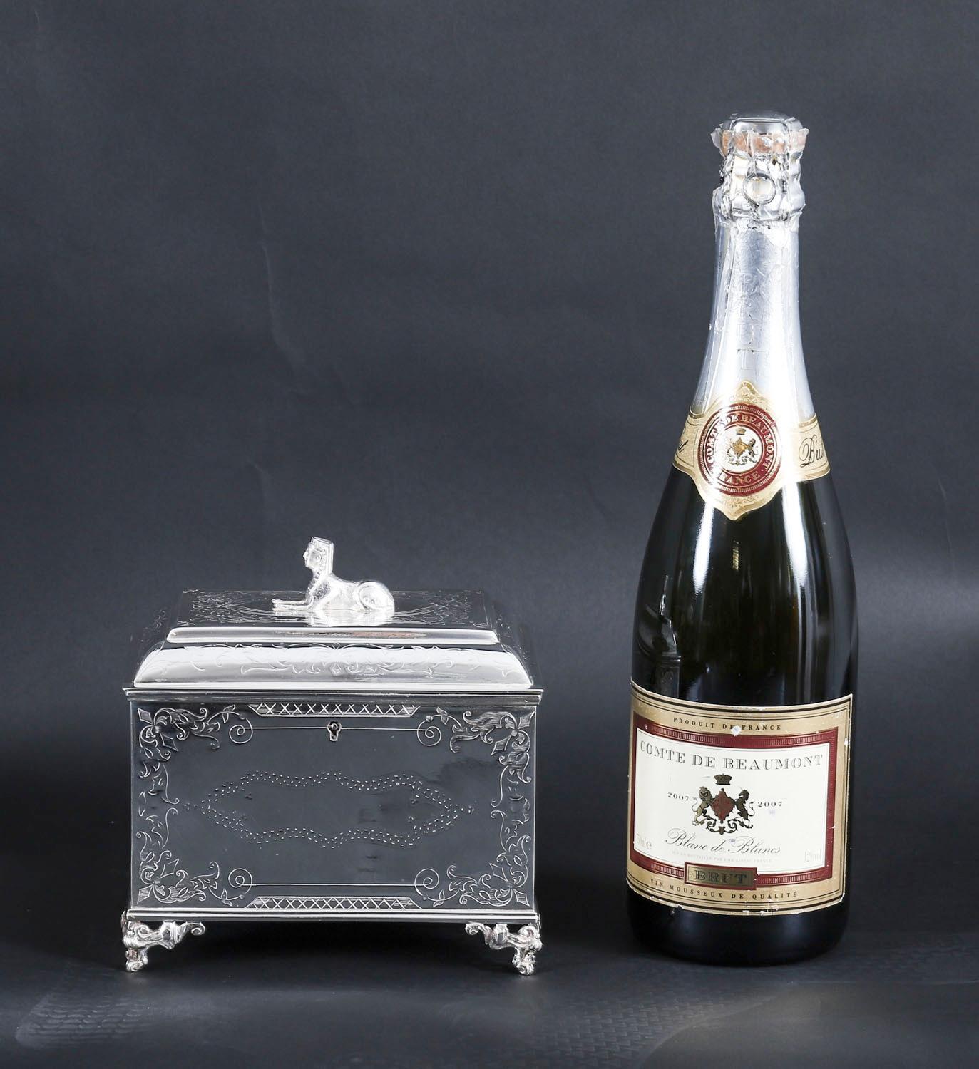 Ancienne boîte à thé néo-empire en métal argenté 19ème siècle en vente 10