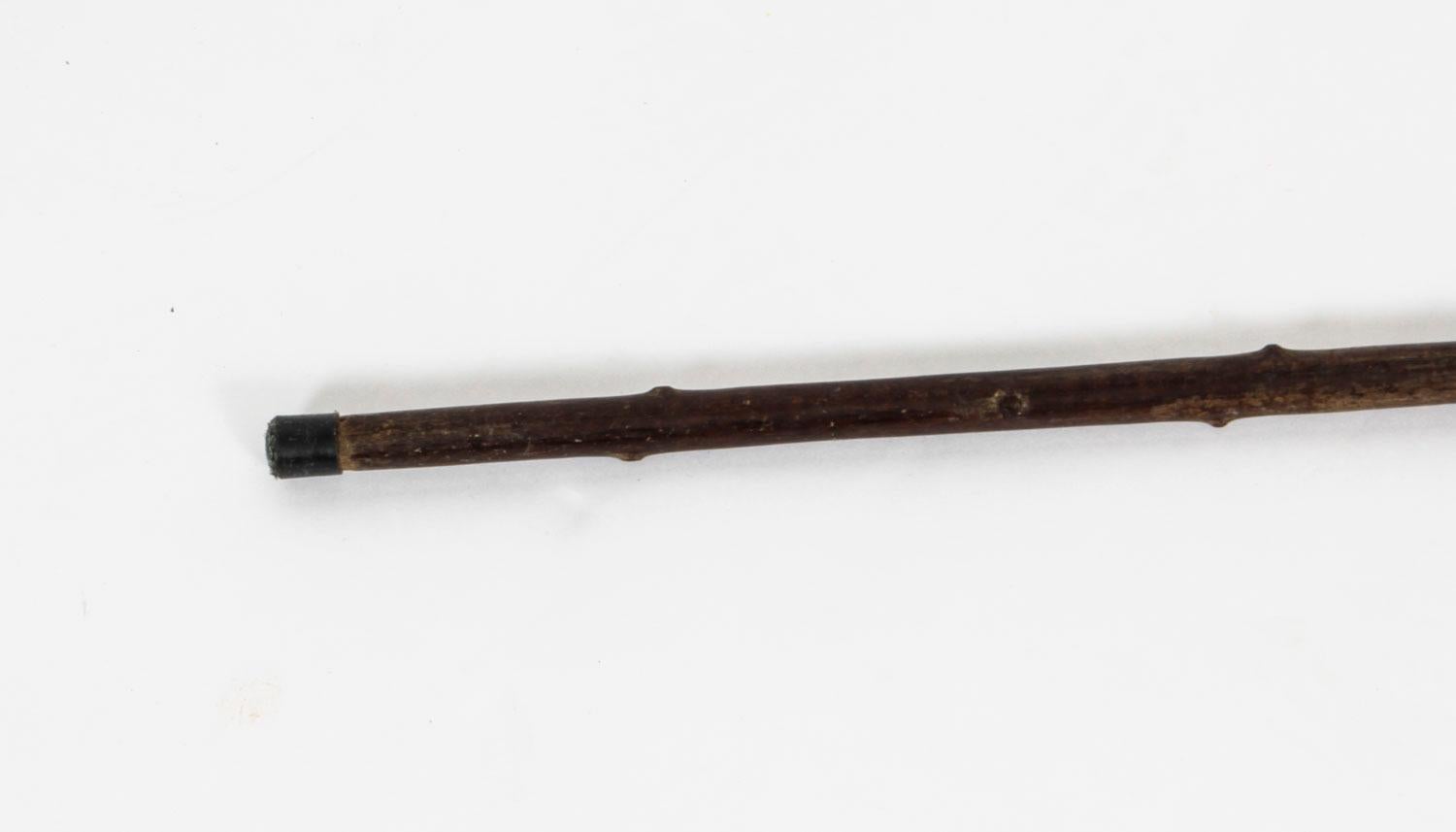 Antique Silver Plated Walking Cane Stick, 19th Century 3
