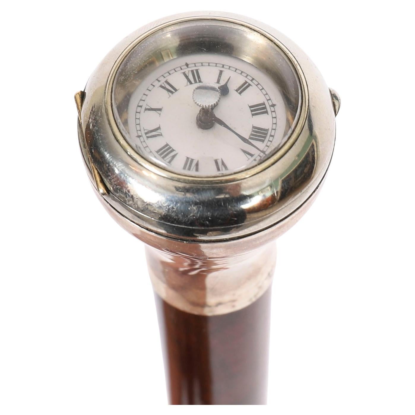 Polished Collectibles and Curiosities