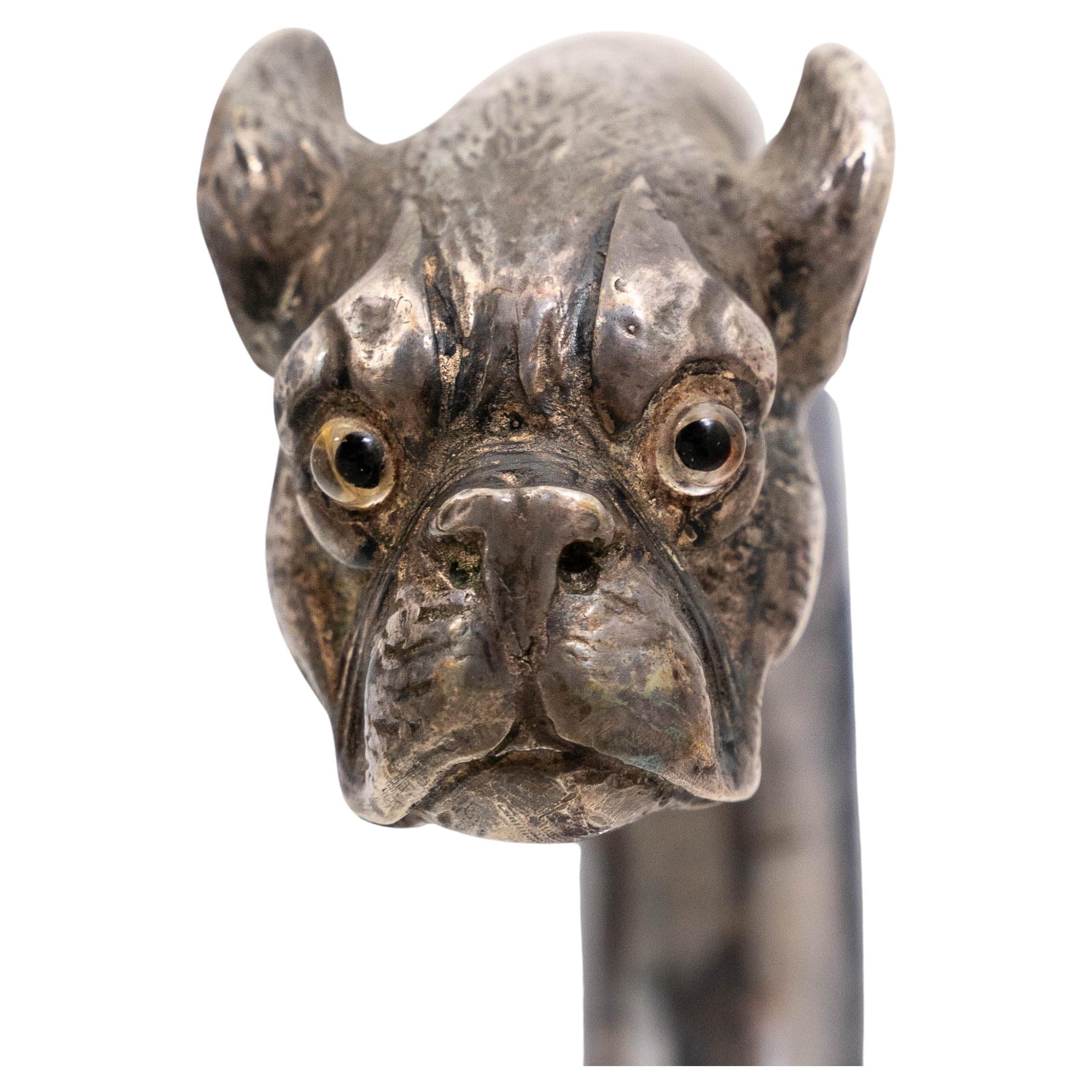 Bastone da passeggio in argento antico - Bulldog francese in vendita