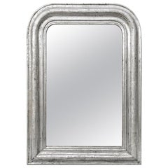 Antique Silver Wood Mirror Louis-Philippe Style, circa 1890