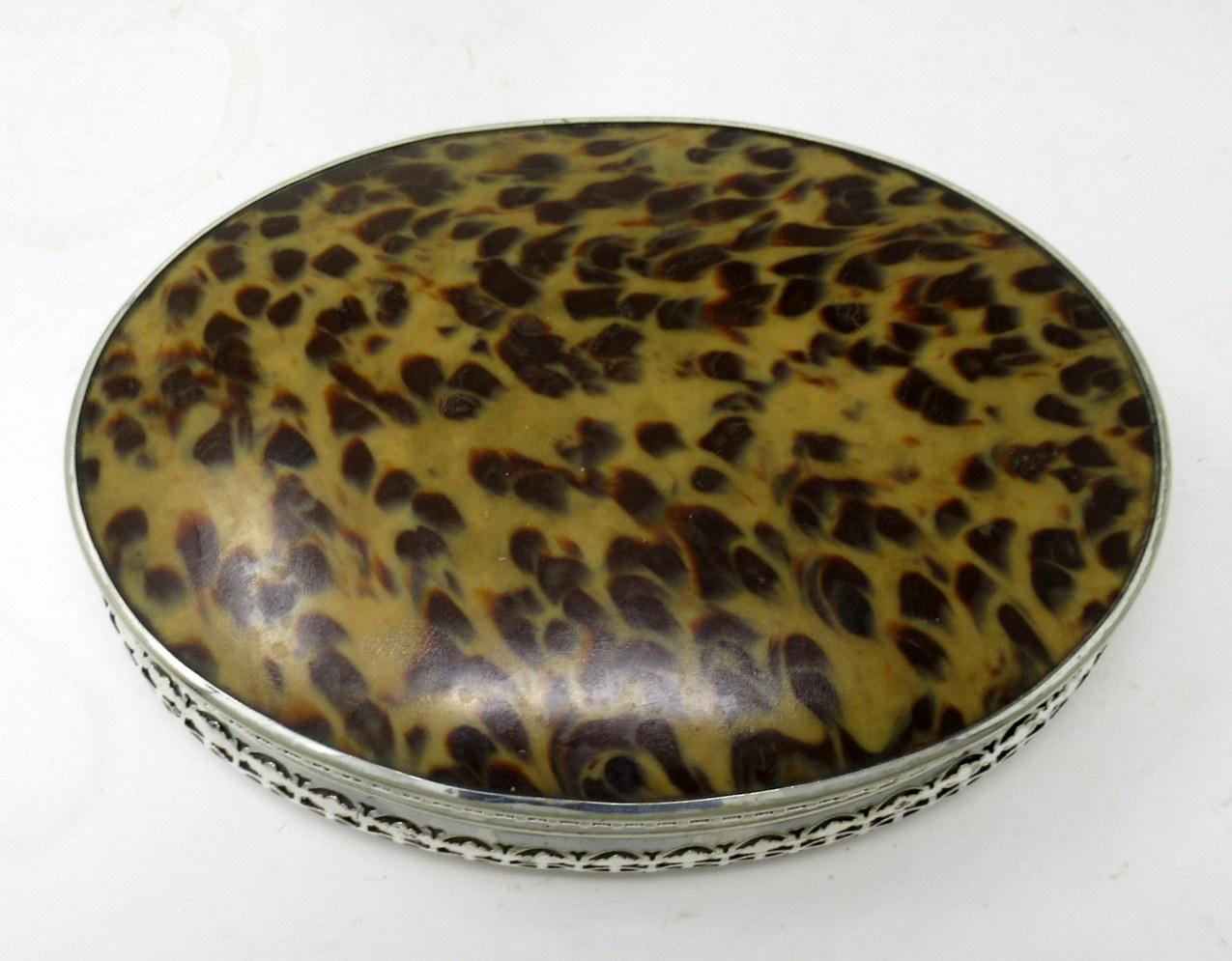 Late Victorian Antique Silverplated Faux Tortoiseshell Ladys Toiletries Vanity Grooming Set 19C