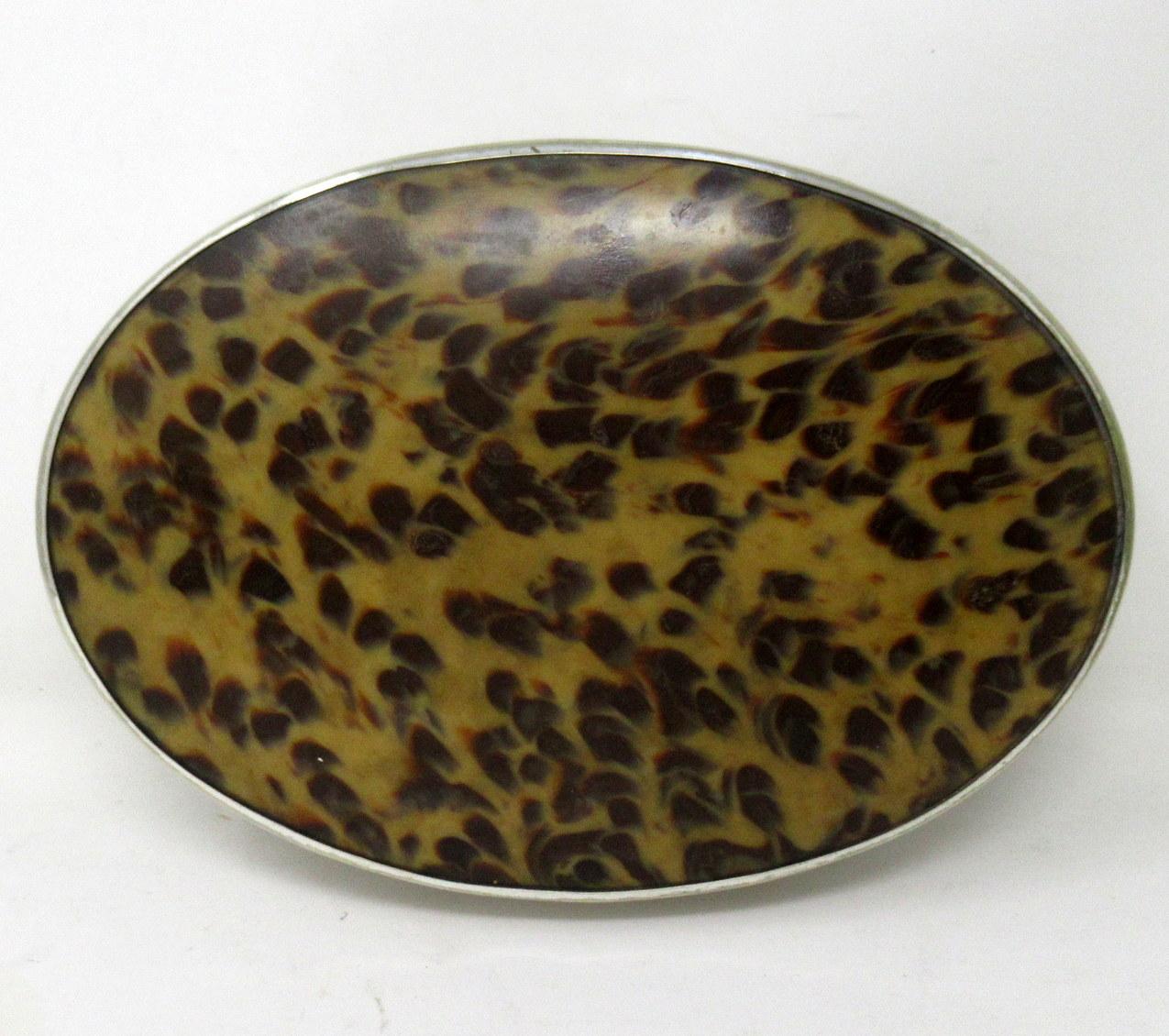 English Antique Silverplated Faux Tortoiseshell Ladys Toiletries Vanity Grooming Set 19C