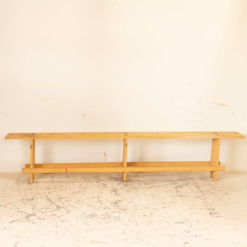 Sometimes beauty is found in simplicity, such as this long pine bench from Hungary. At 8' long, its has 3 support legs and long stretchers to add stability to the entire seat. We have left it as we found it in Europe, with raw, natural pine. This