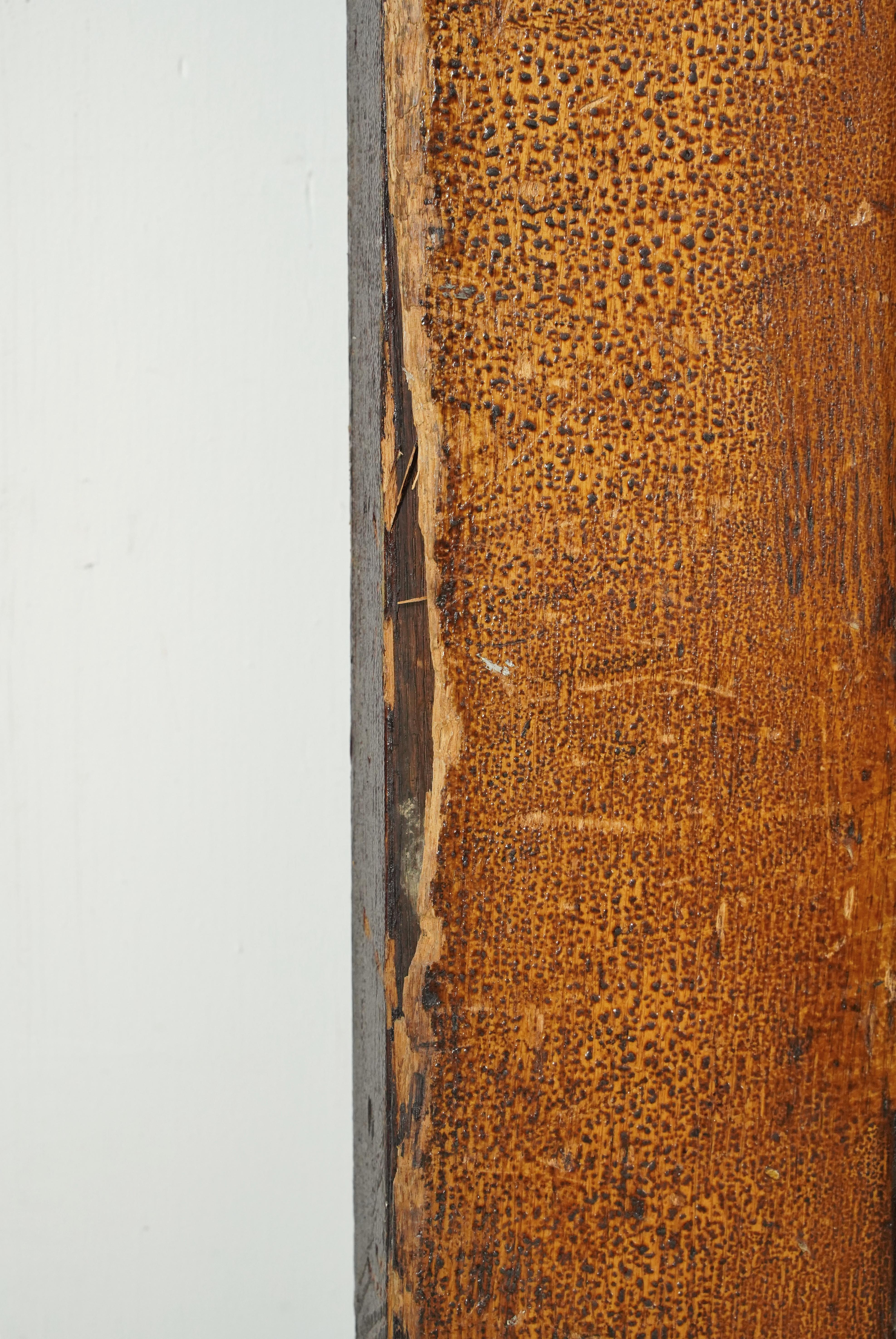 Antique Single Lite Chestnut Double Doors 93.125 x 69.625 in. For Sale 8
