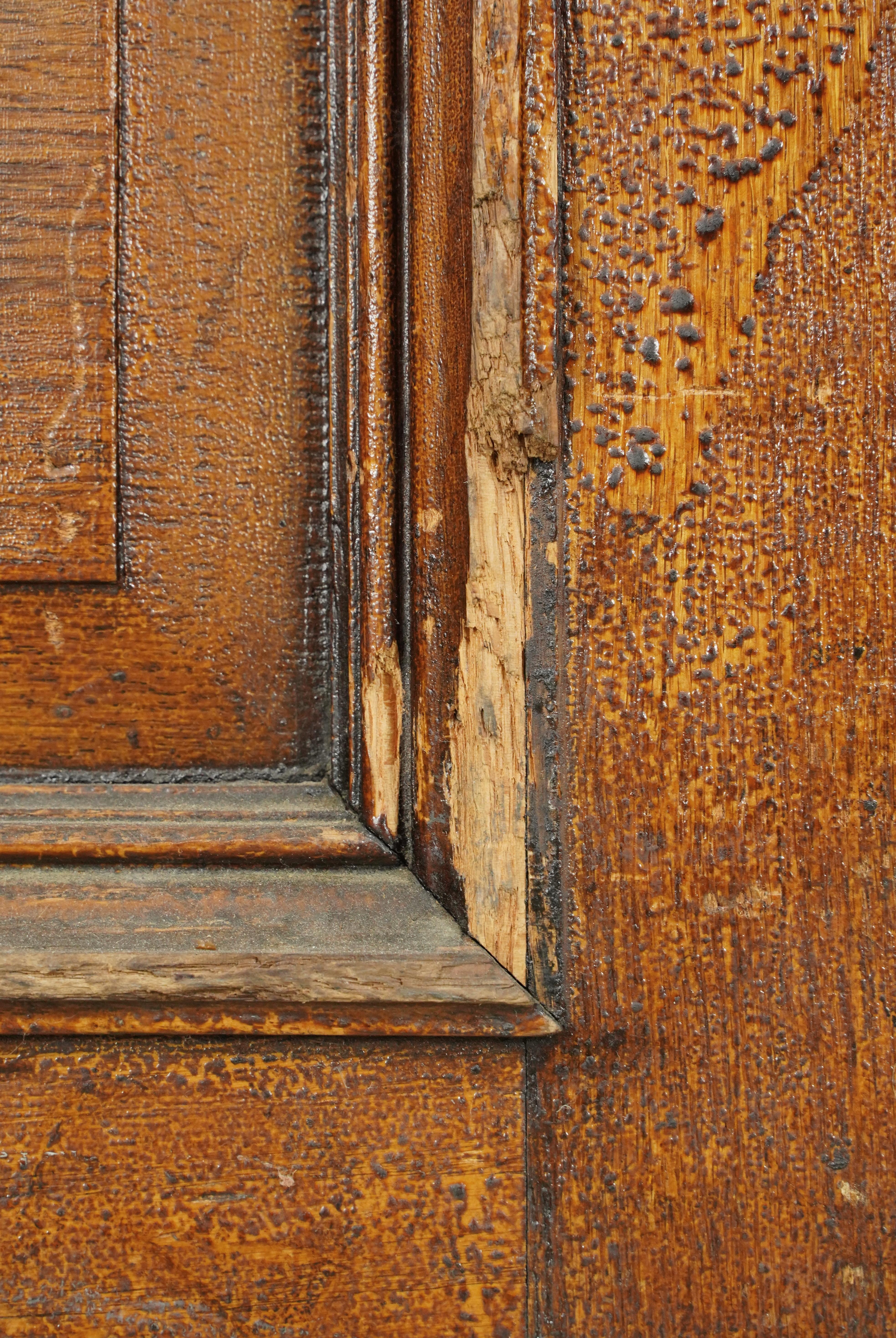Antique Single Lite Chestnut Double Doors 93.125 x 69.625 in. For Sale 10