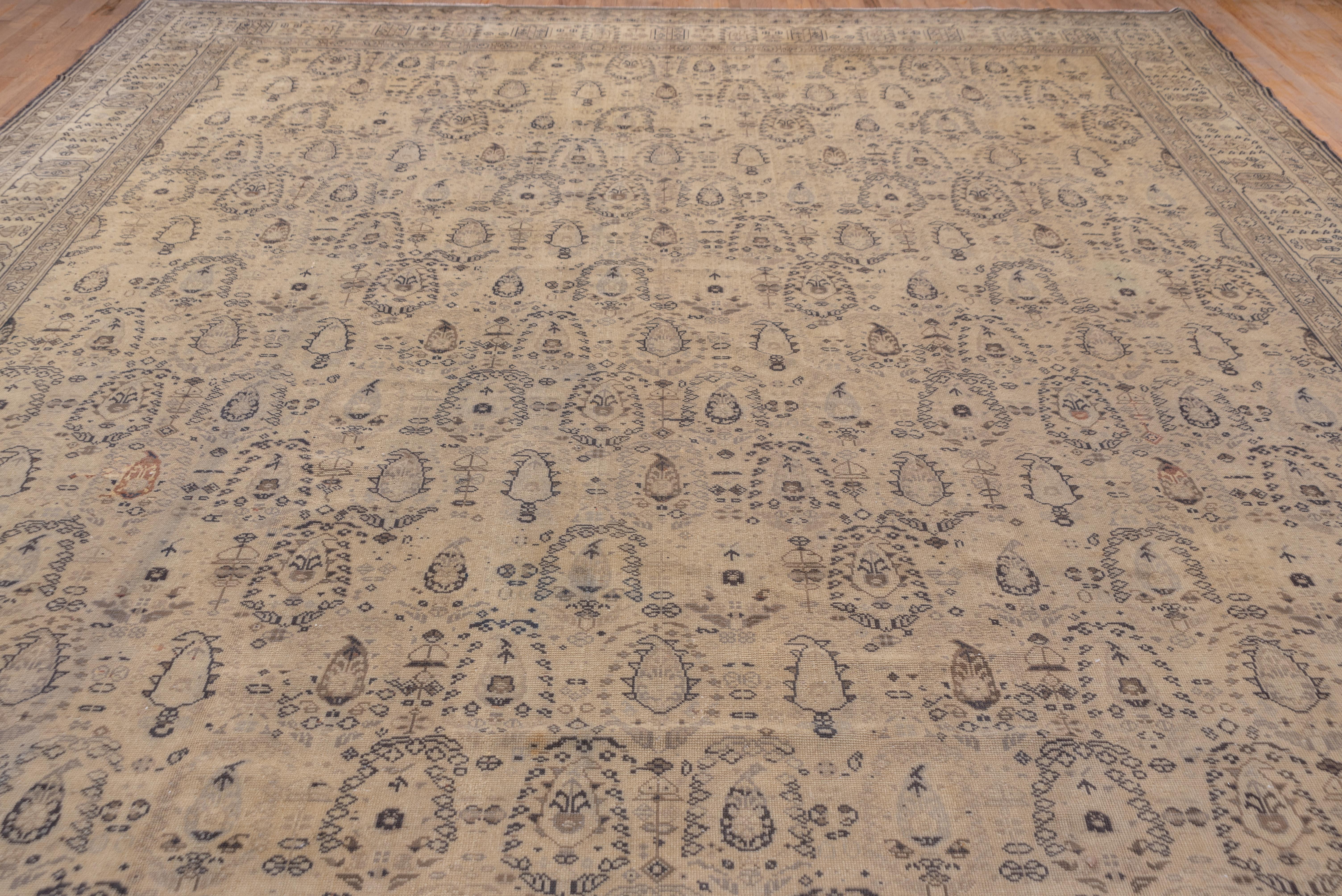 Mid-Century Modern Antique Turkish Sivas Carpet  For Sale