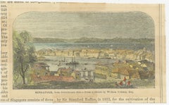 Antique Small-Format View of Singapore, Government Hill, c.1882