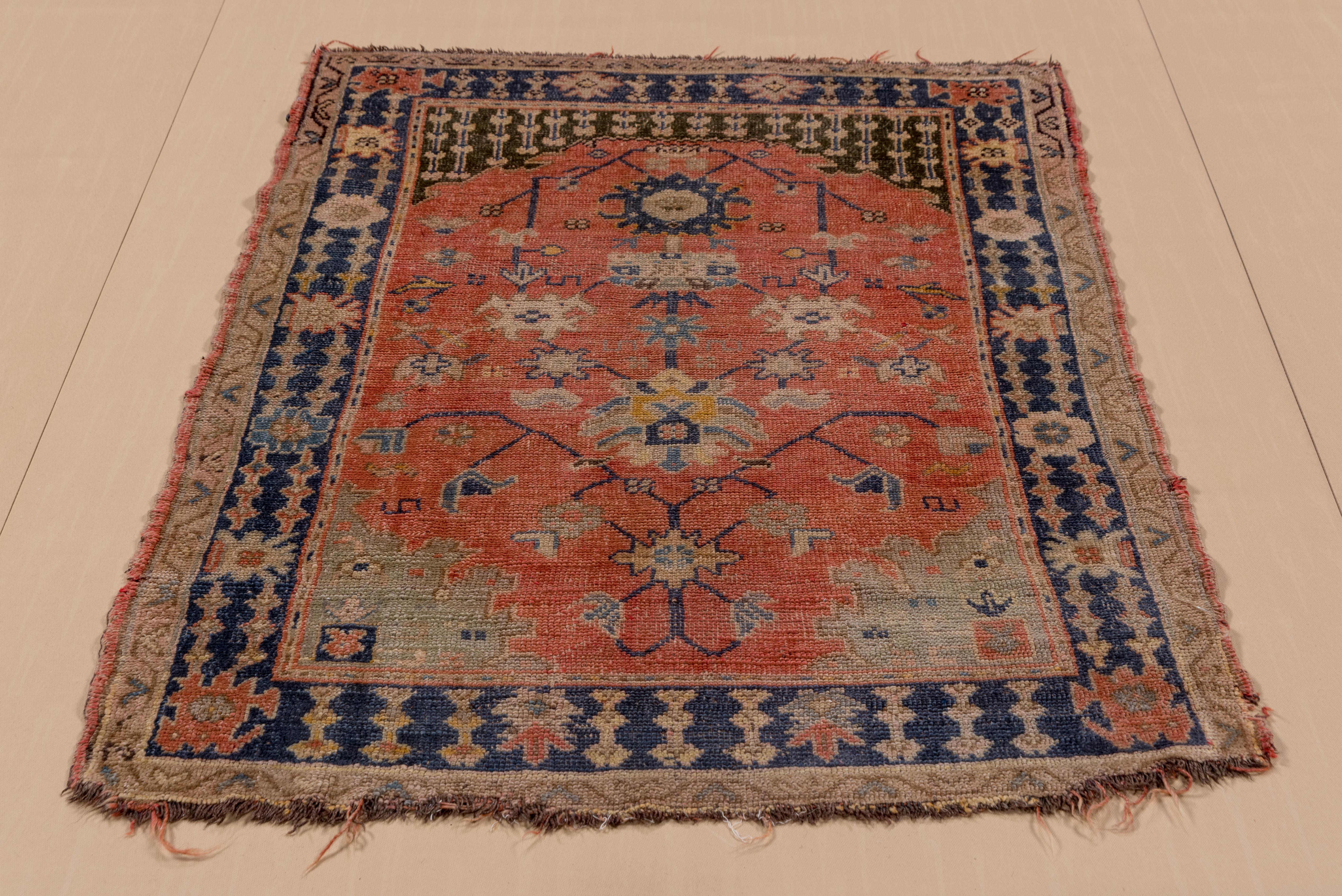This little western Turkish scatter has a prayer pattern with a rust niche shaped field under a red-brown spandrel panel with a connected vertical linear pattern that is repeated ion sections in the border. The field displays petal and ragged