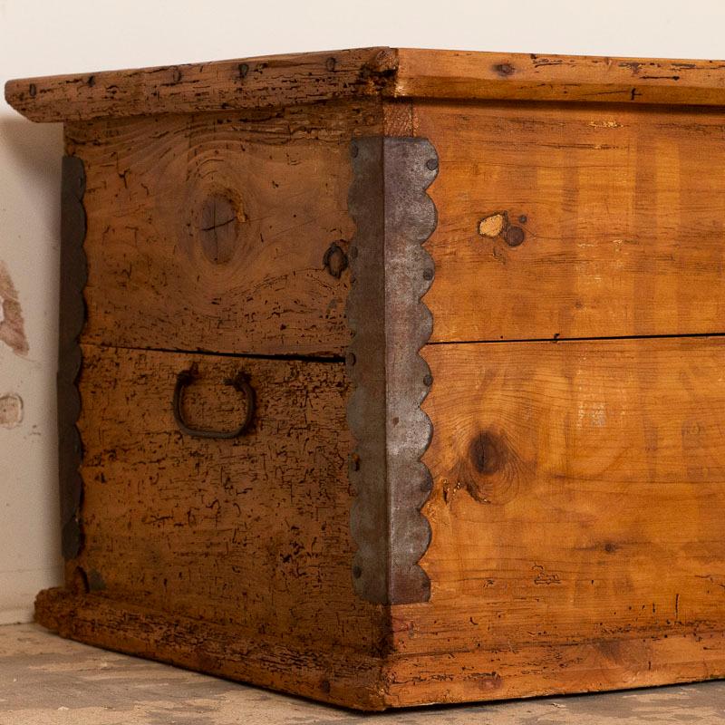 Hungarian Antique Small Pine Trunk or Narrow Box