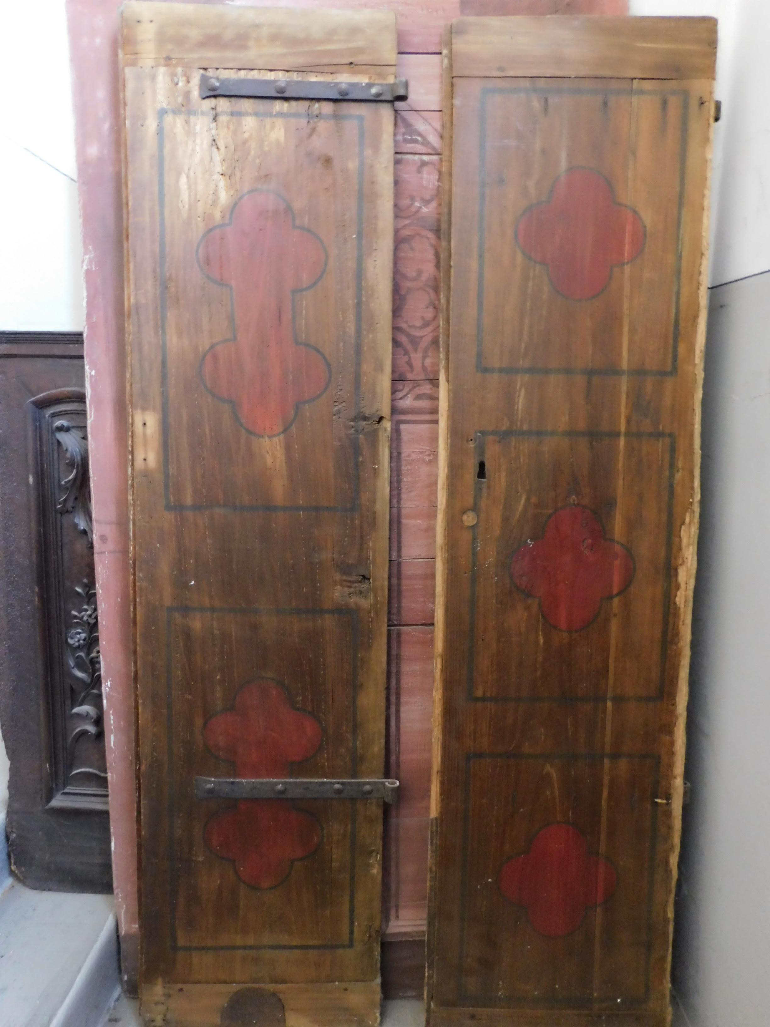 Italian Antique Smooth Lacquered Wood Door, Front and Back, 19th Century, Italy
