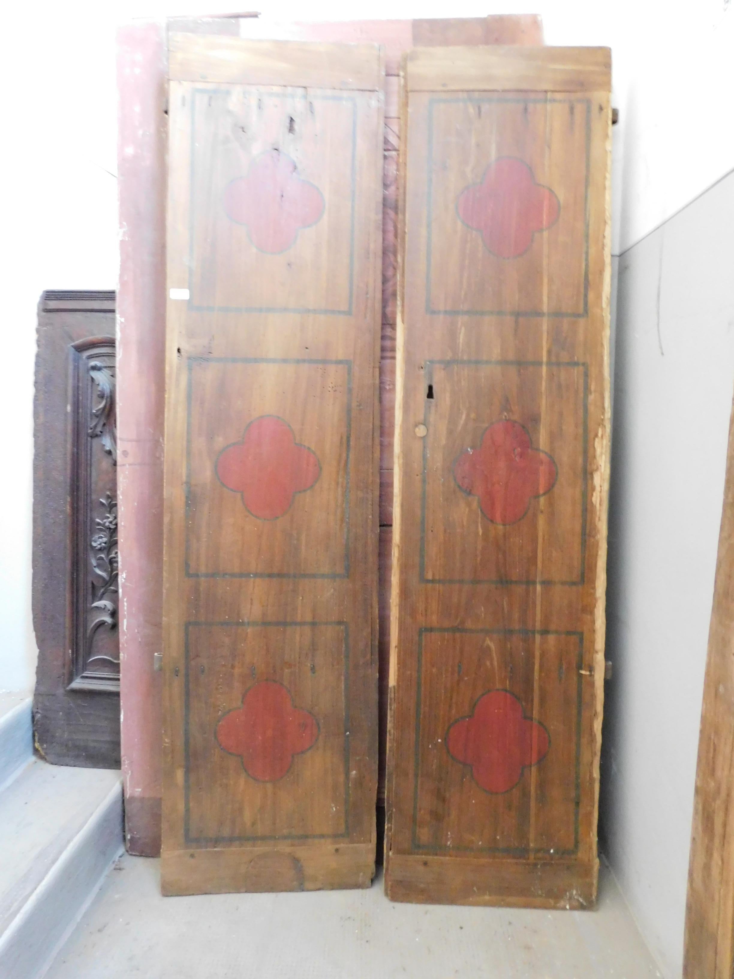Hand-Painted Antique Smooth Lacquered Wood Door, Front and Back, 19th Century, Italy