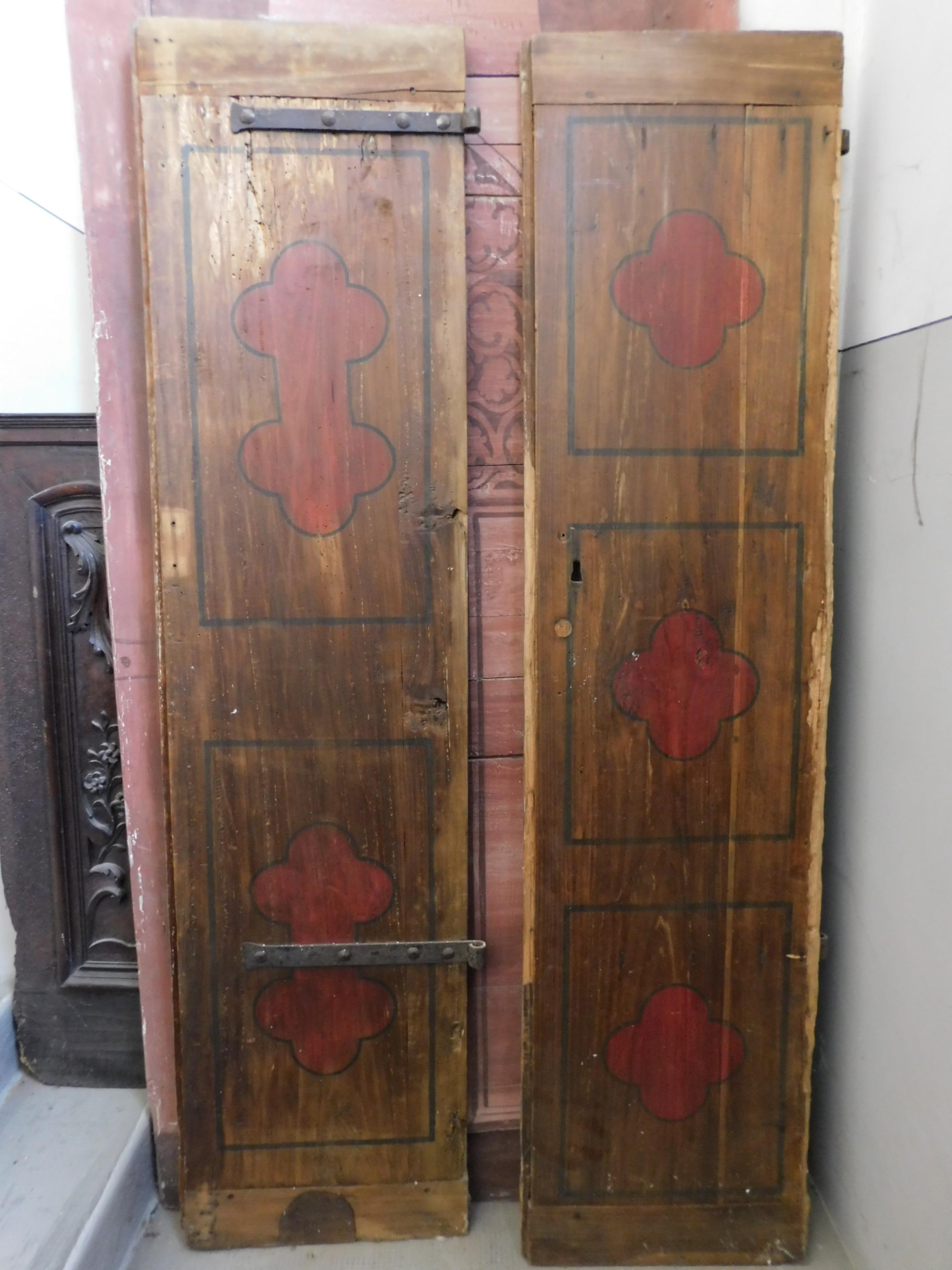 Antique Smooth Lacquered Wood Door, Front and Back, 19th Century, Italy 1