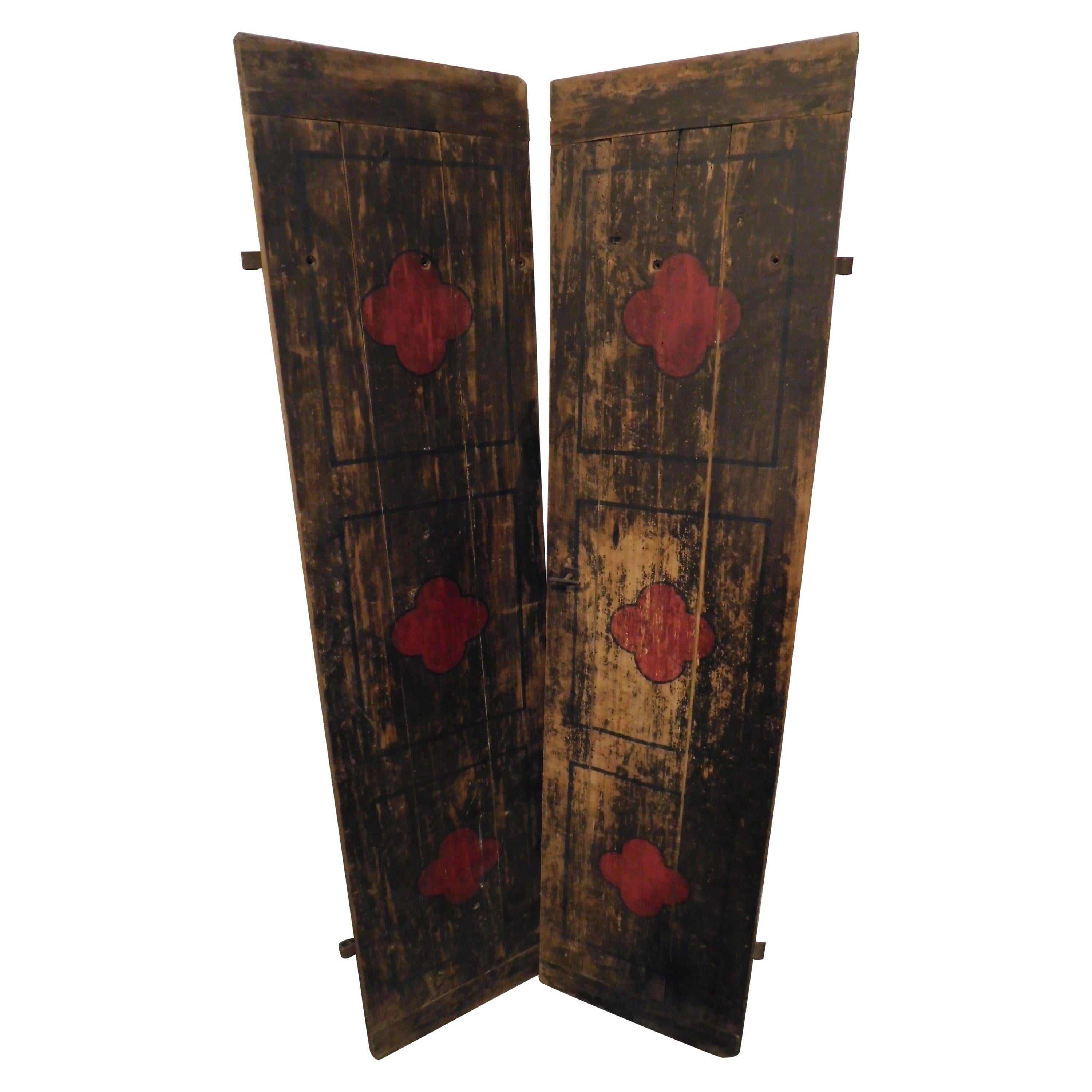 Antique Smooth Lacquered Wood Door, Front and Back, 19th Century, Italy