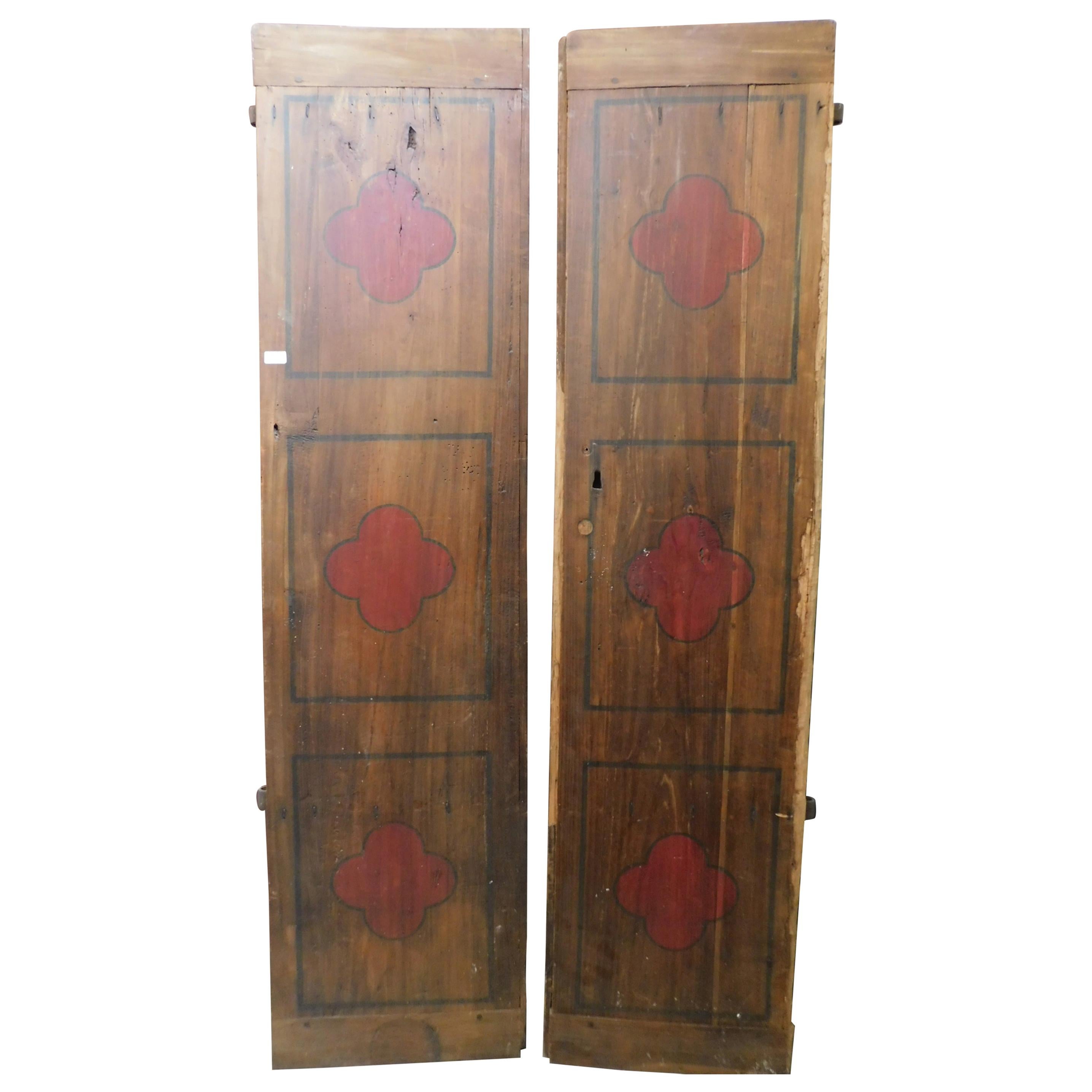 Antique Smooth Lacquered Wood Door, Front and Back, 19th Century, Italy