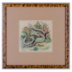 Grabado antiguo de serpiente