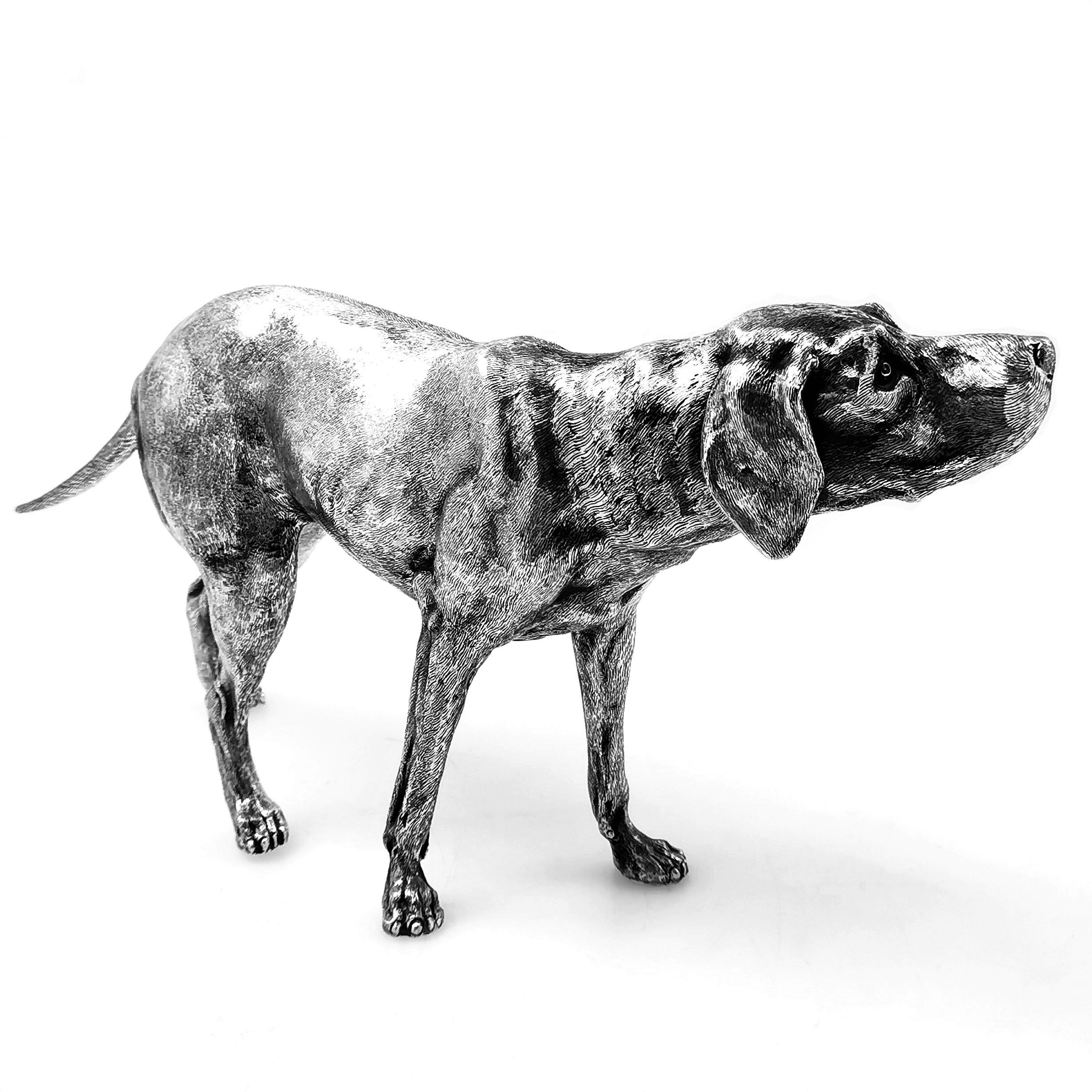 A magnificent Antique German Sterling Silver model of a Pointer Dog. This model is of notably  large size and the Dog is modelled with a fine attention to detail.

Made in Germany in circa 1920.

Approx. Weight - 1338g / 43.02oz
Approx. Length -