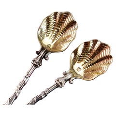 Antique Solid Silver Pair of Spoons, Salters Company - Smith, Nicholson &Co 1858