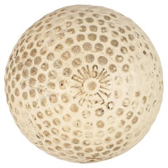 Antique Spalding White, balle de golf