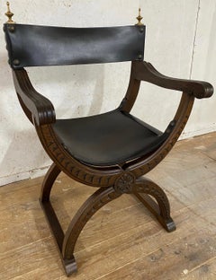 Antique Carved Renaissance Style Throne Chair