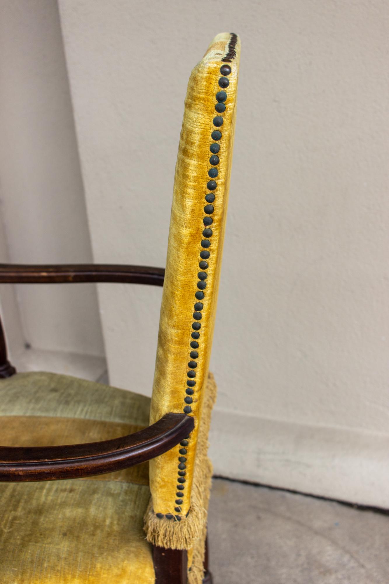 Antique Spanish Oak & Velvet Stripe Armchair with Fringe Detail 6