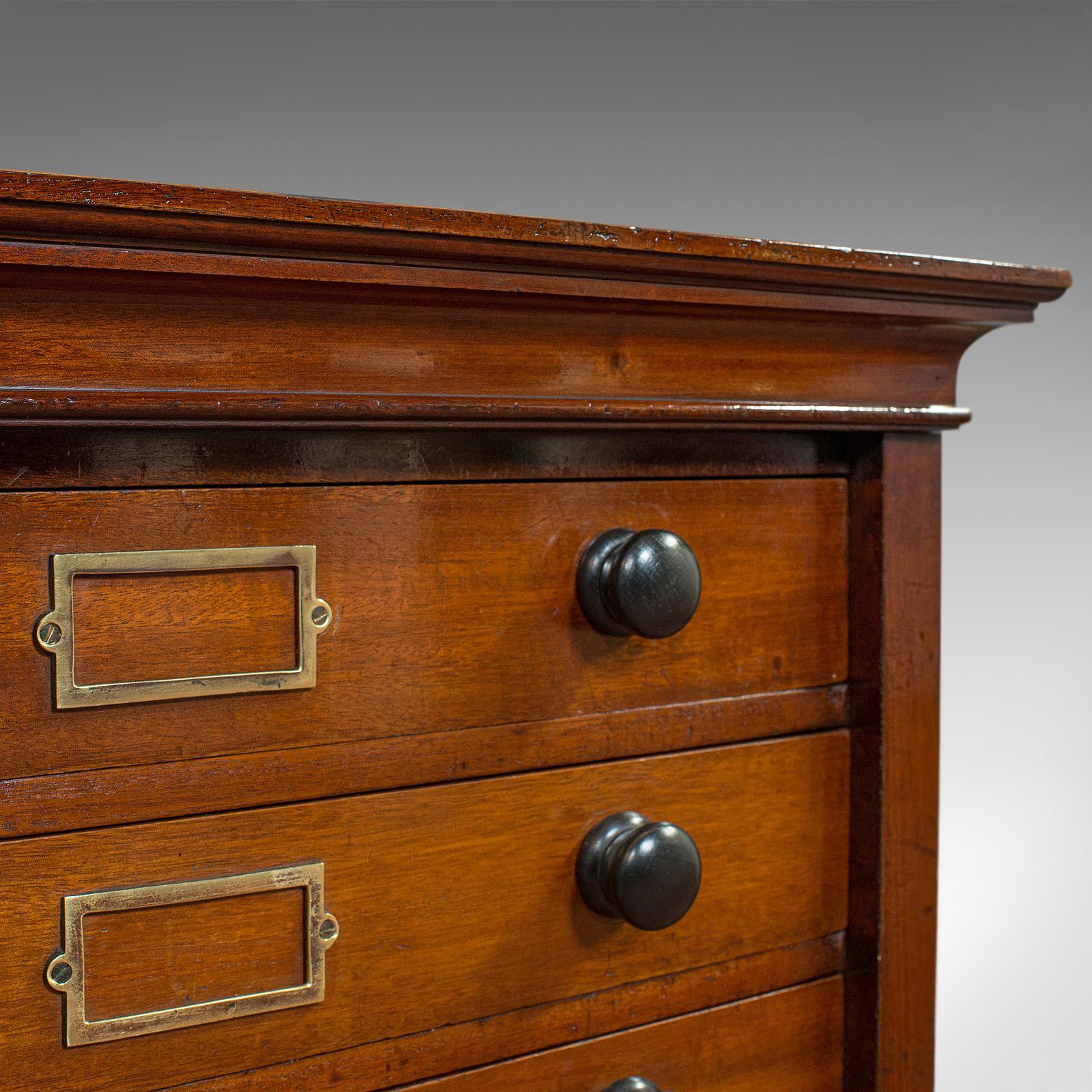 Antique Specimen Cabinet, English, Mahogany, Chest of Drawers, Shop, Edwardian 5