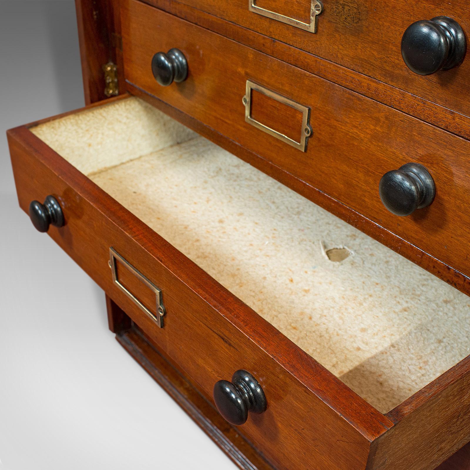 Antique Specimen Cabinet, English, Mahogany, Chest of Drawers, Shop, Edwardian 7