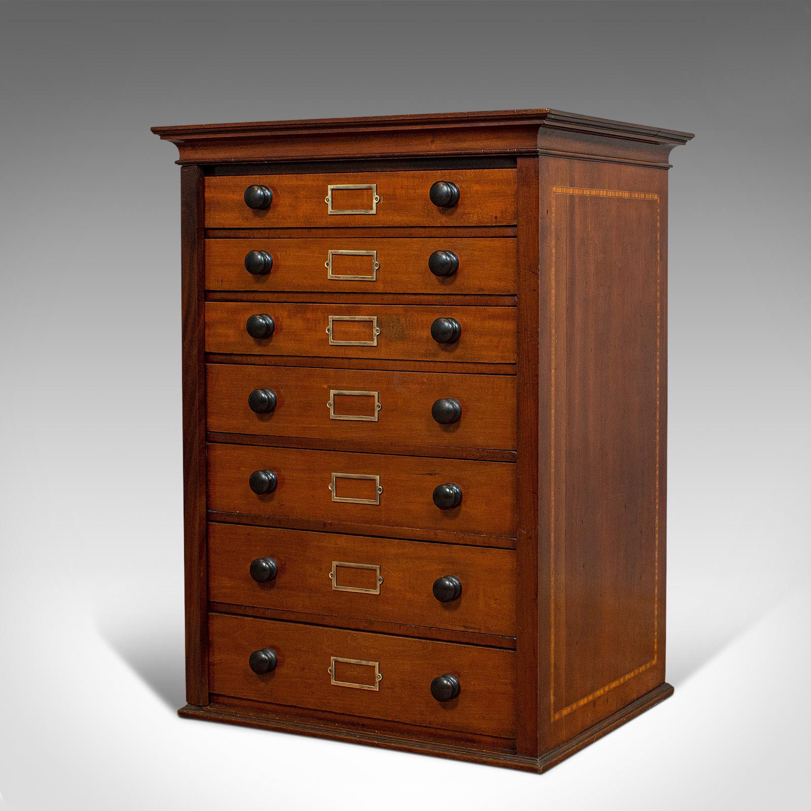 vintage specimen cabinet