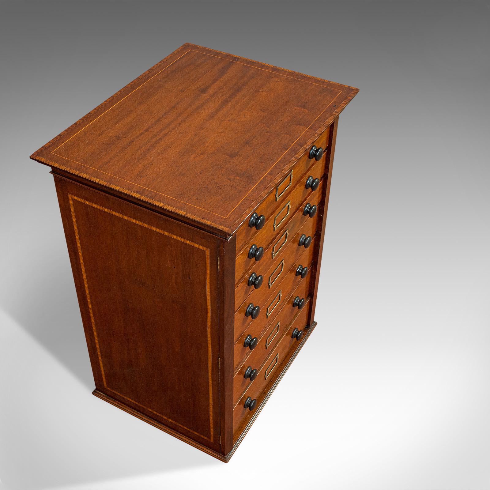Antique Specimen Cabinet, English, Mahogany, Chest of Drawers, Shop, Edwardian 1