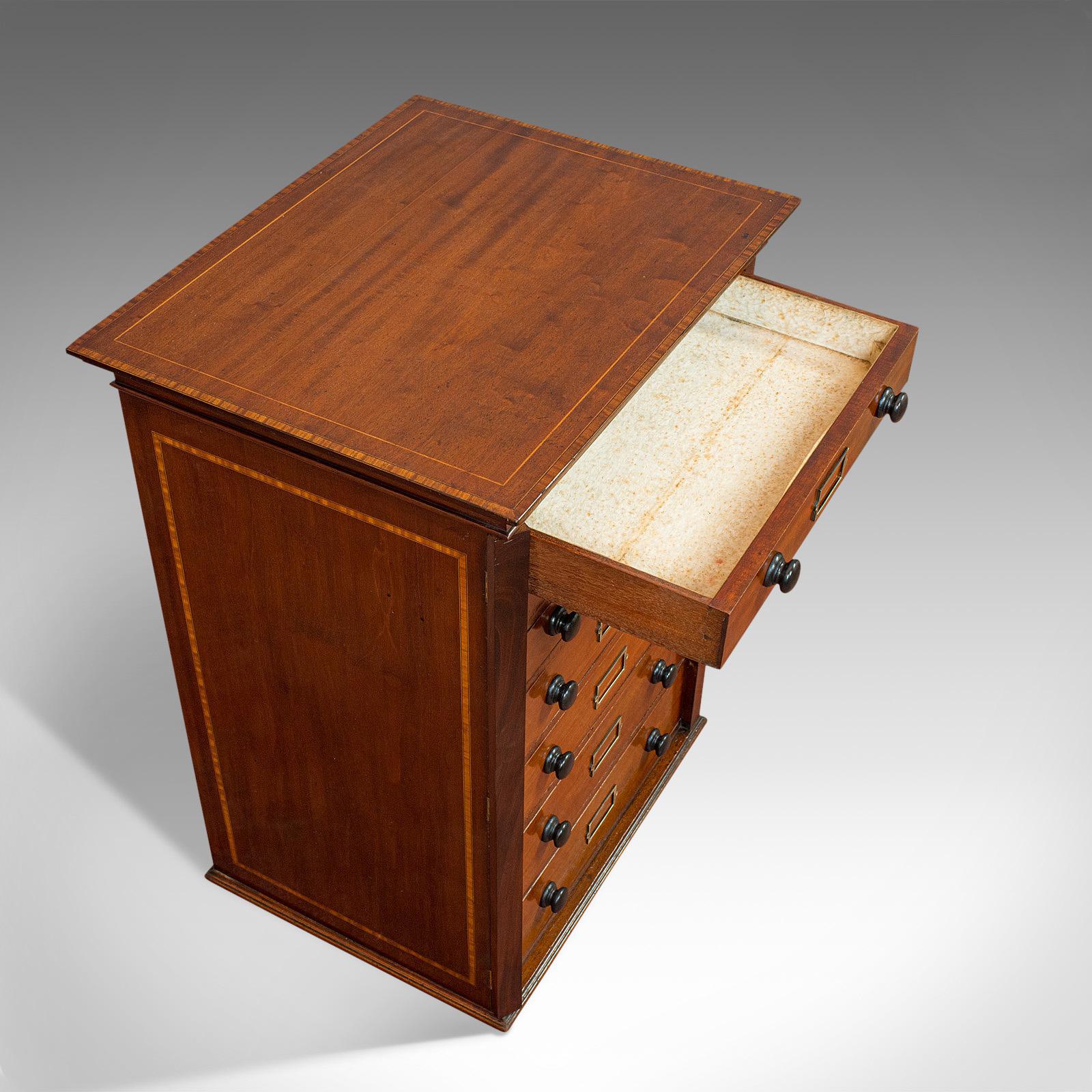 Antique Specimen Cabinet, English, Mahogany, Chest of Drawers, Shop, Edwardian 2